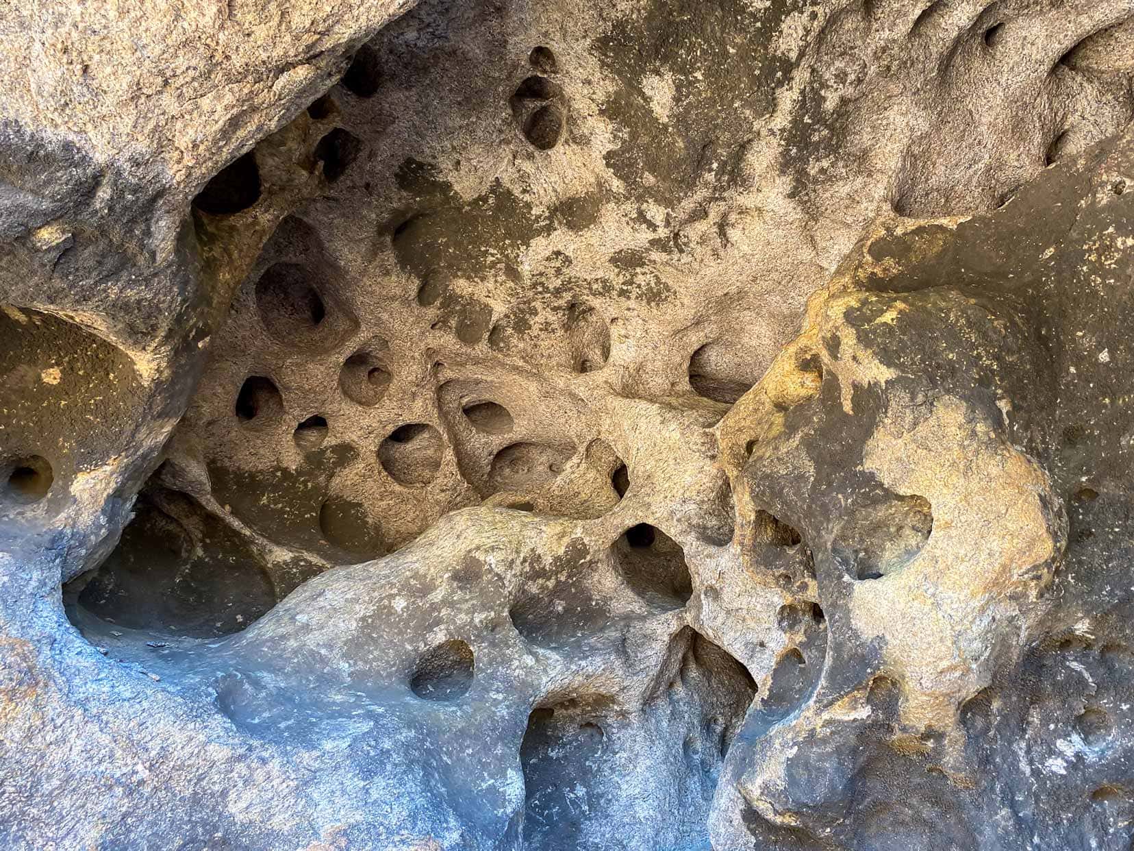Rock formation of holes inside the roof of the cave with nesting swallows