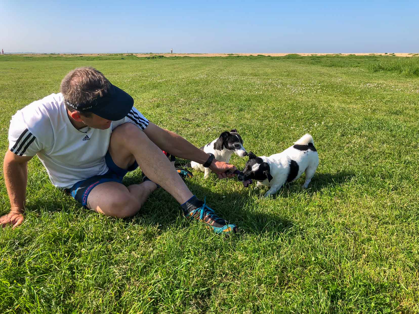 Lars playing with two black and white Jack Russels on grass