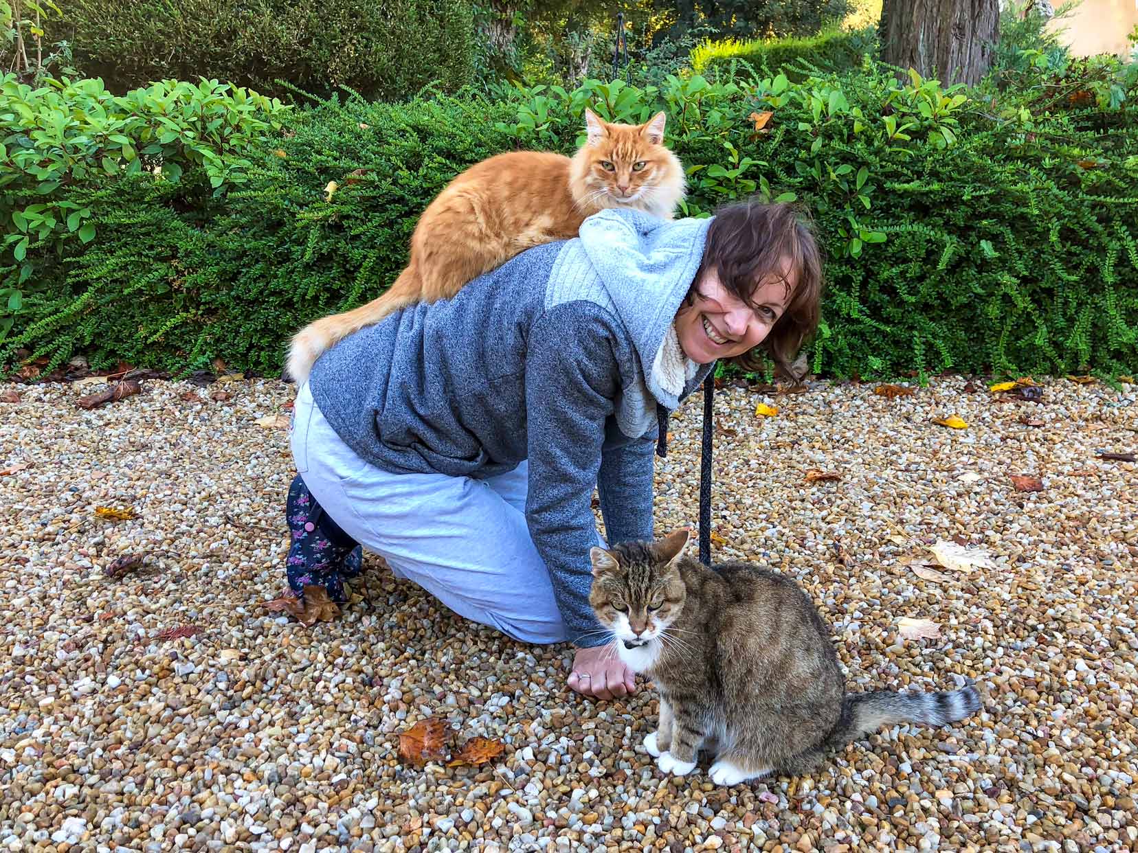 Shelley kneeling on the ground with a tabby cat beside her a dn a long haired ginger cat on her back 