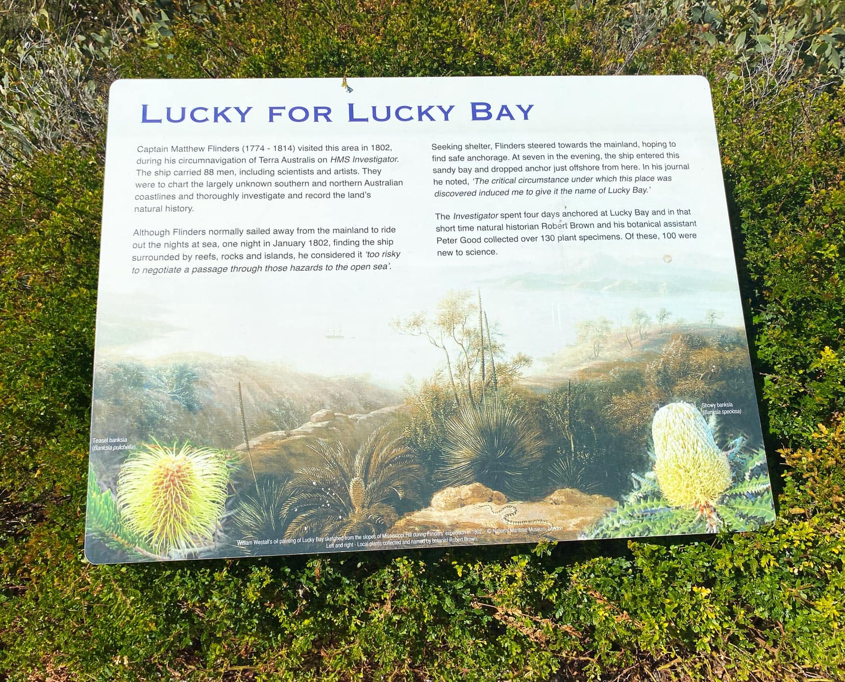 Sign detailing the naming of Lucky Bay