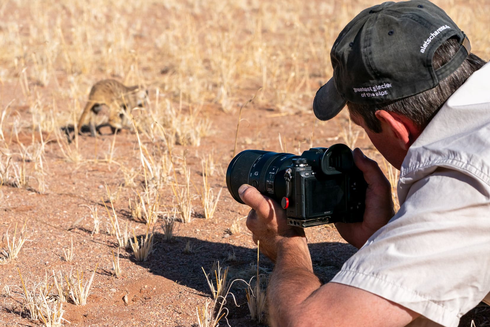 shotting meerkats-in-Namibia