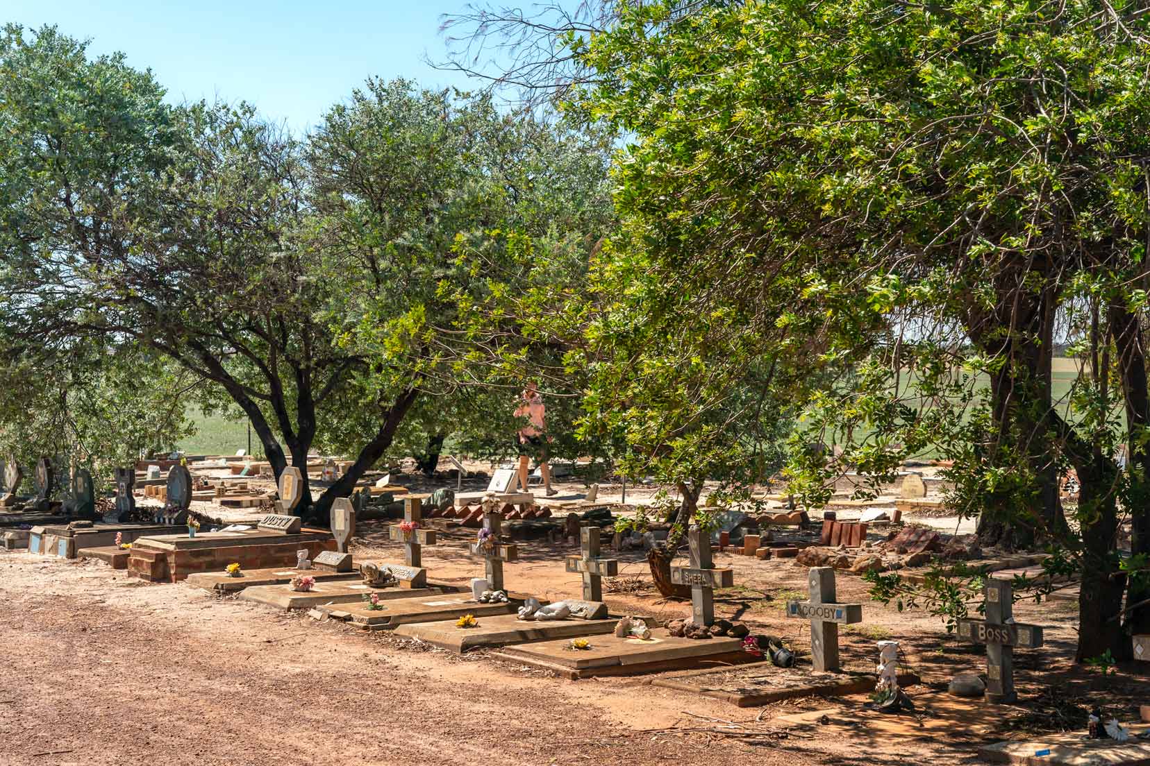 graves at the dog cemetery in Corrigin with trees above