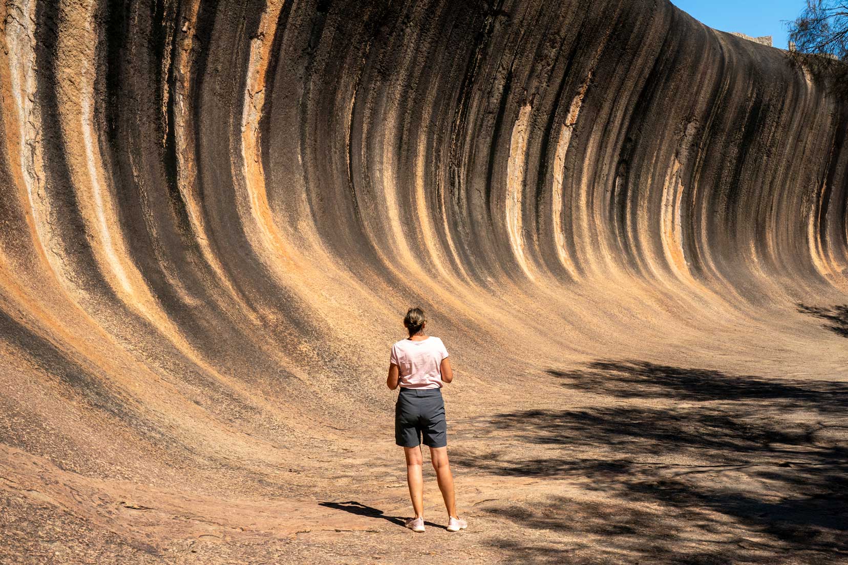 Shelley stood looking. at Wave Rock - a rock shaped like a huge wave 