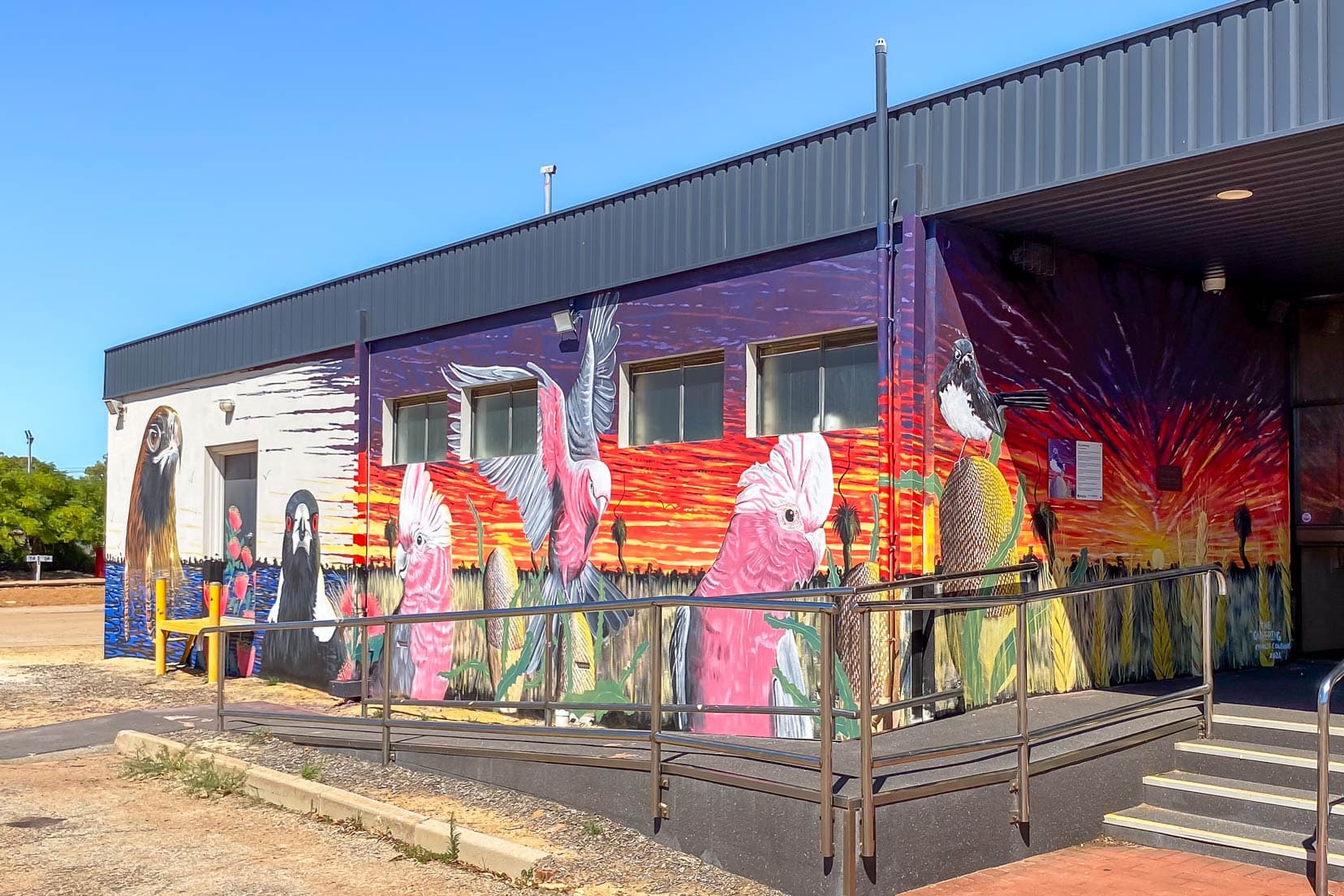 The Gathering Mural with pink and grey galahs red, oranges, purples