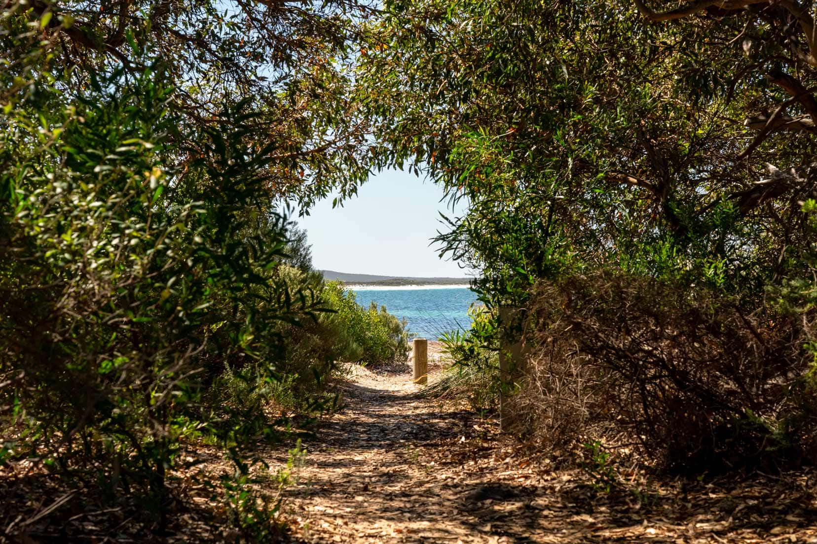 View of the beach from the Rossiter Bay Bird Sanctuary - trees framing a glimpse of the ocean and beach along a sandy path