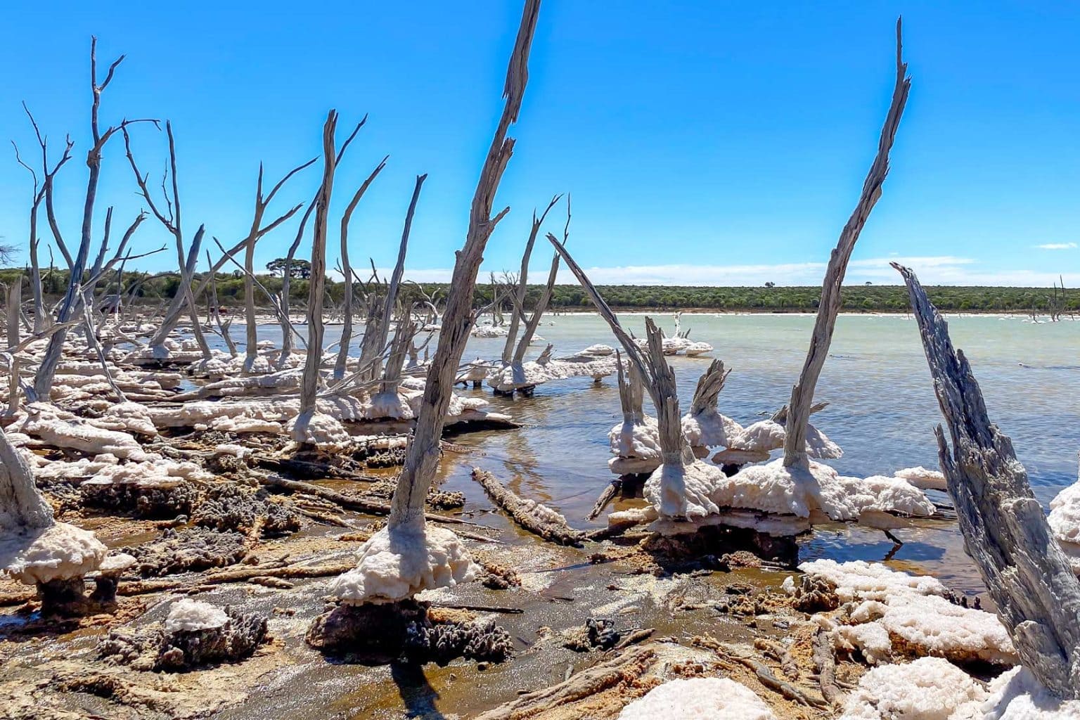 Perth to Wave Rock: Ultimate Road Trip Itinerary and Tips