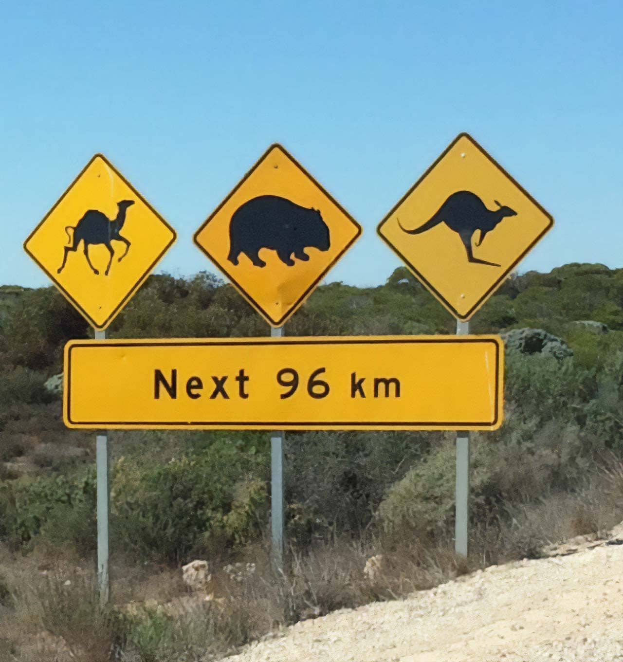 Animal-sign-on-the-Nullabor