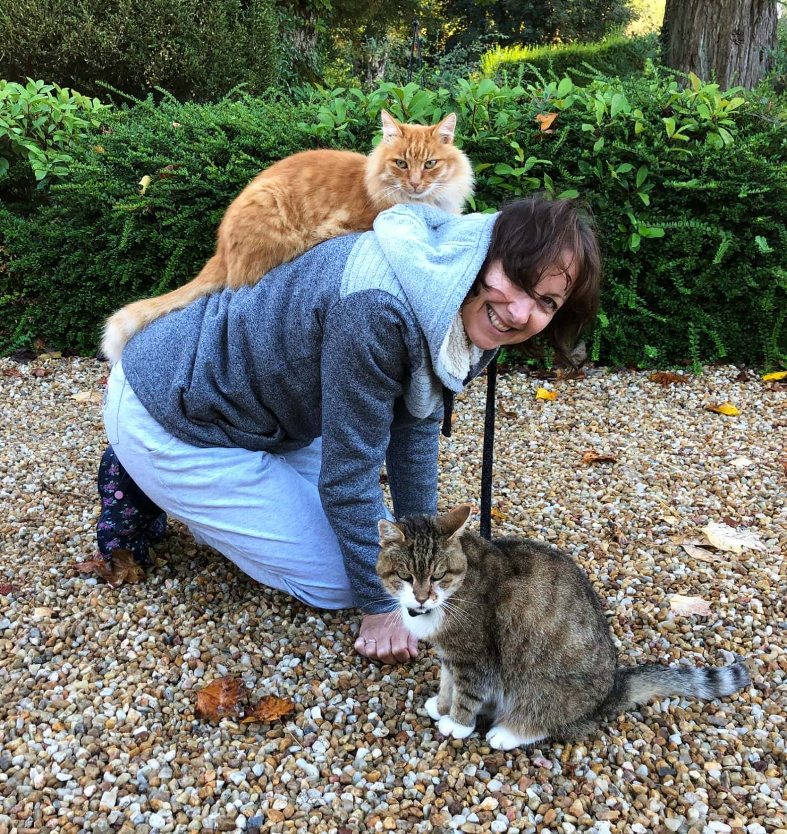shelley with a ginger long aired cat on her back while she kneels and a tabby cay sat beside her 