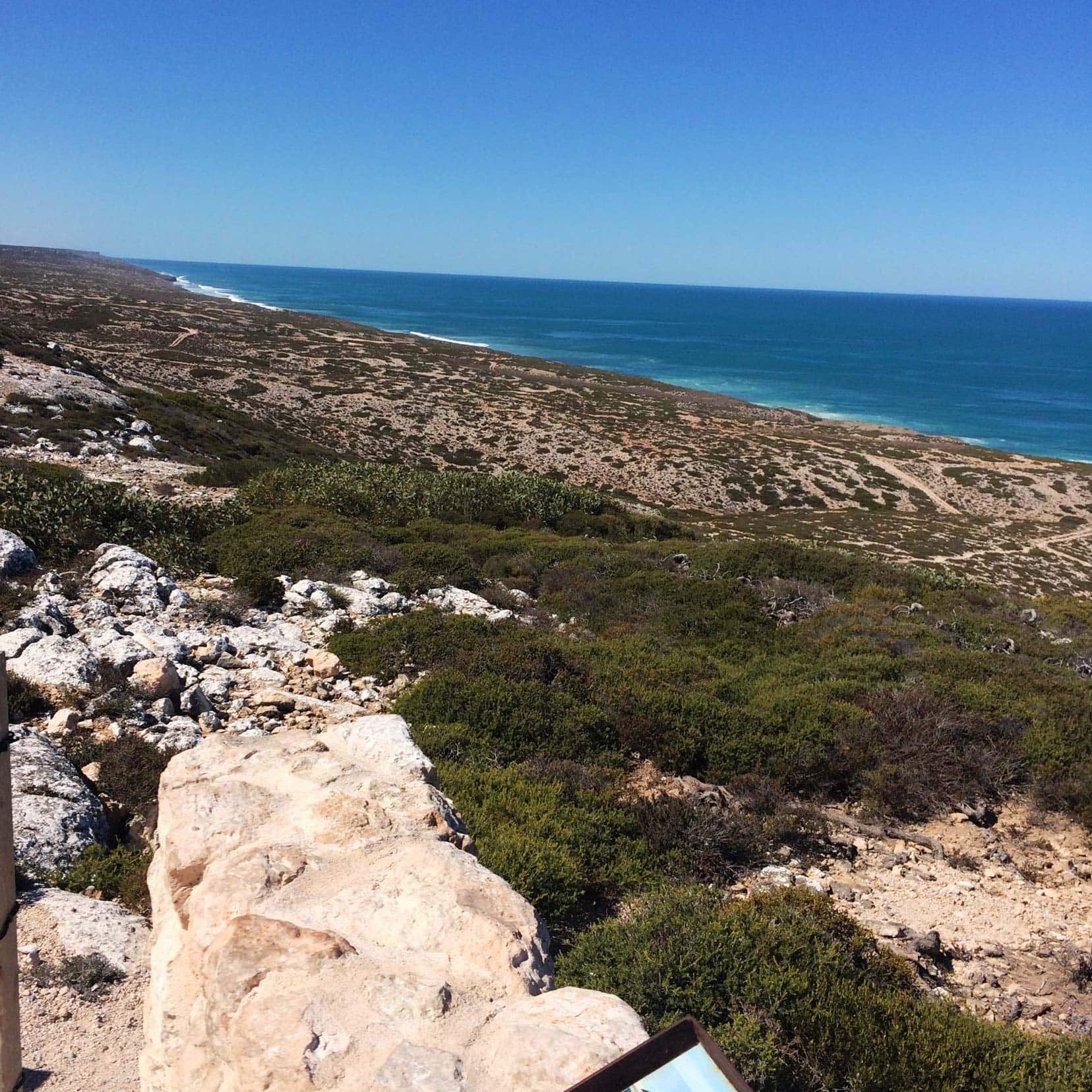 Bunda Cliffs, a stunning viewpoint on the Nullarbor road trip.