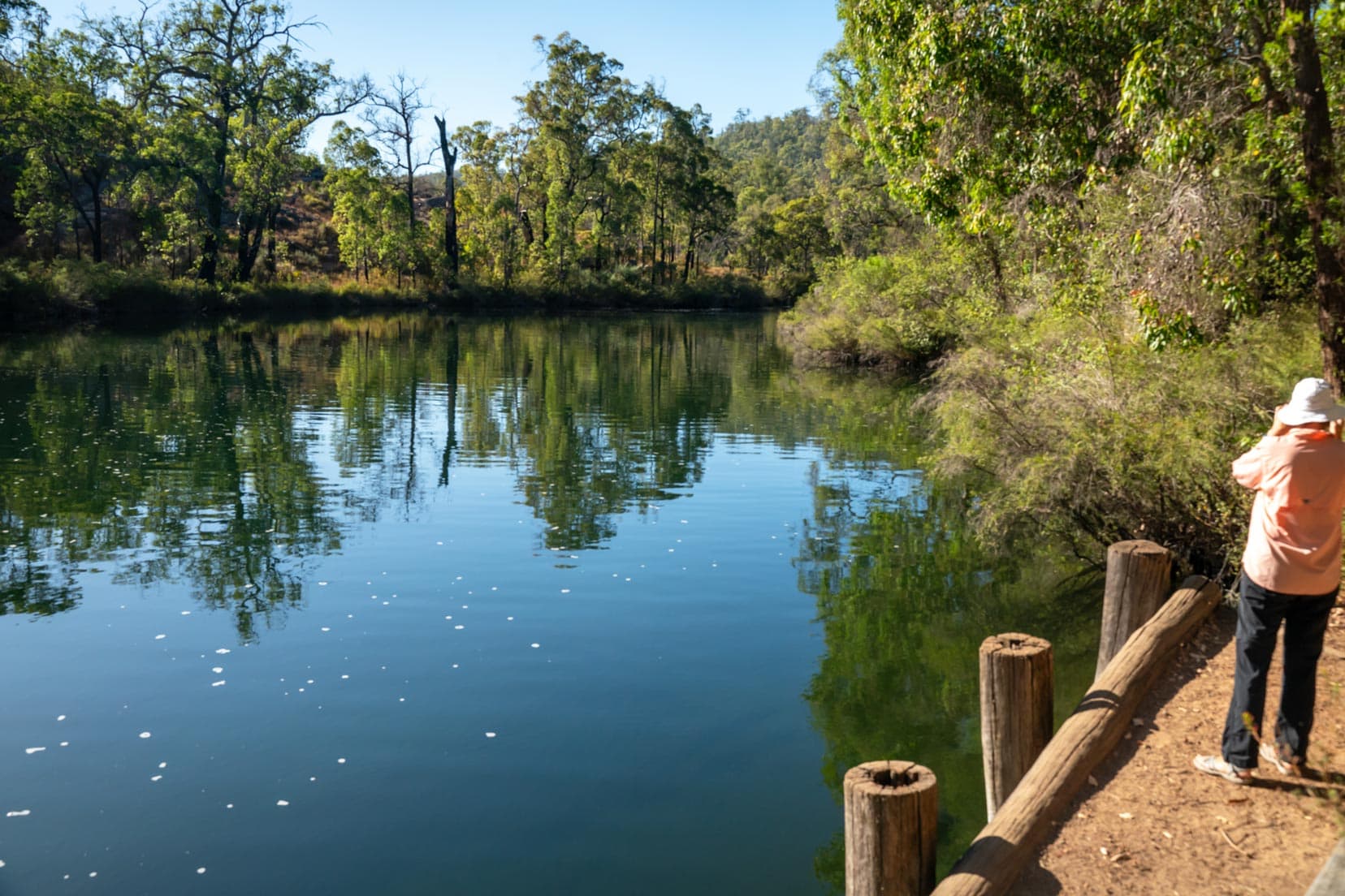 Calm still deep water surrounded bt trees and bordered by a bank 