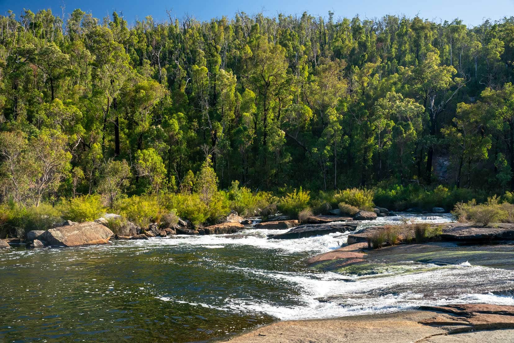 Rapids flowing over sloped flat granite rocks with granite boulders sticking out of water and trees either side of river 