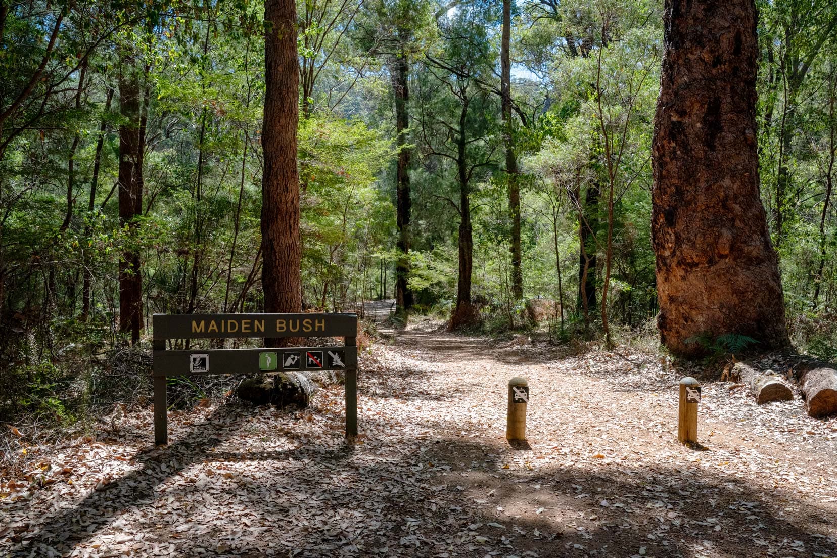 Heartbreak-Trail-Maidens-Bush