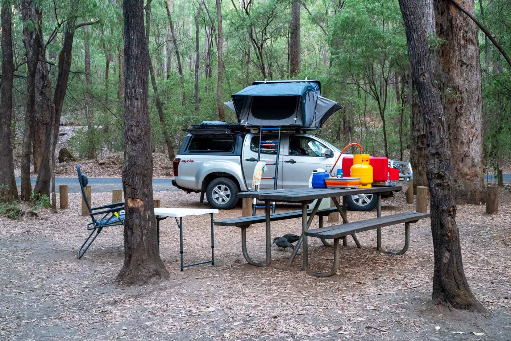 Ducks under our camping table and our car parked with the roof top tent open