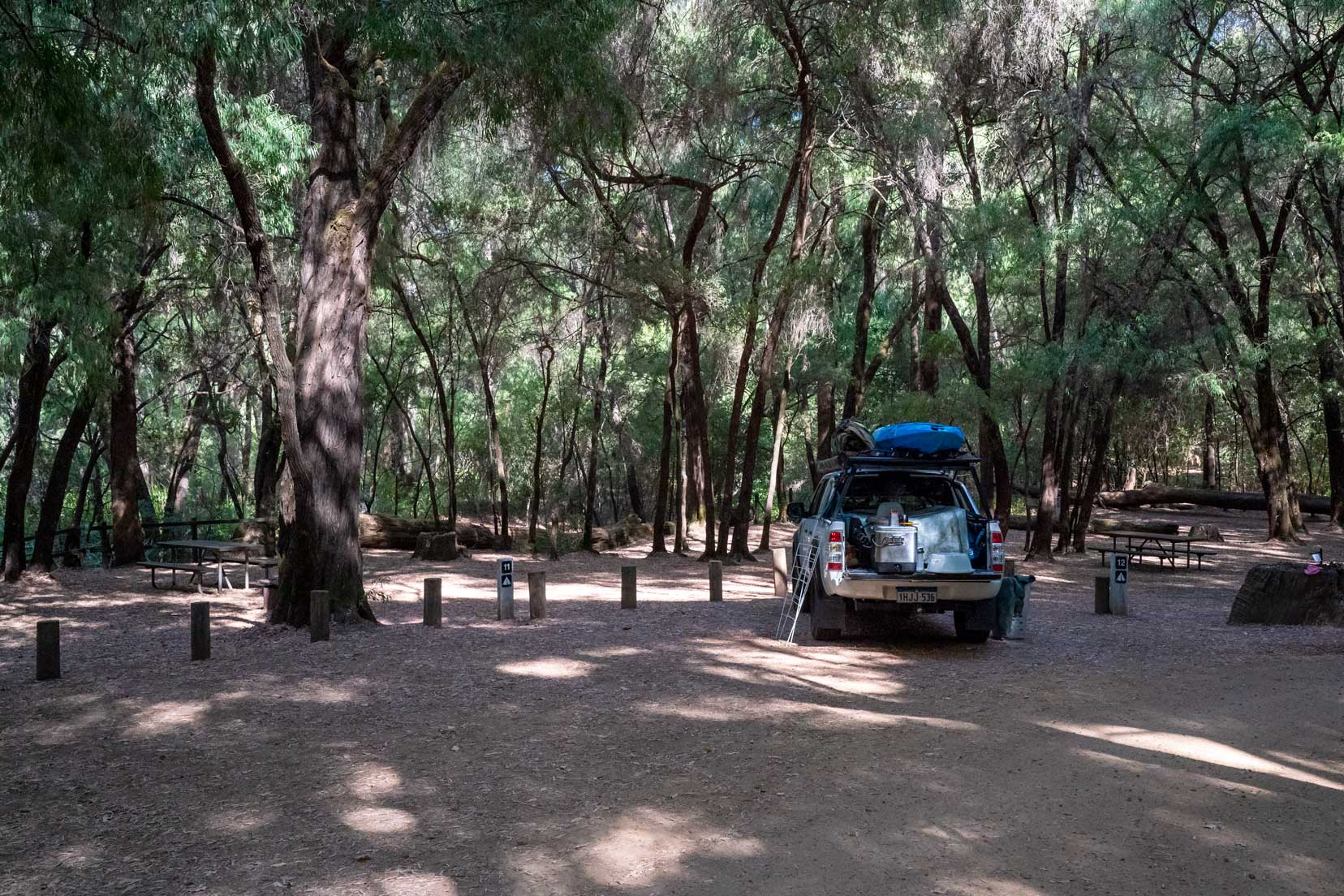 Parking area for campsites 10,11 and  12 with a car parked and peppermint trees ain the background