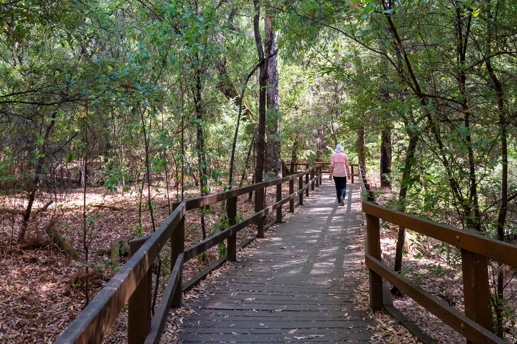 Walking around Honeymoon Pool - shelley walking on a wooden boardwalk under peppermint trees