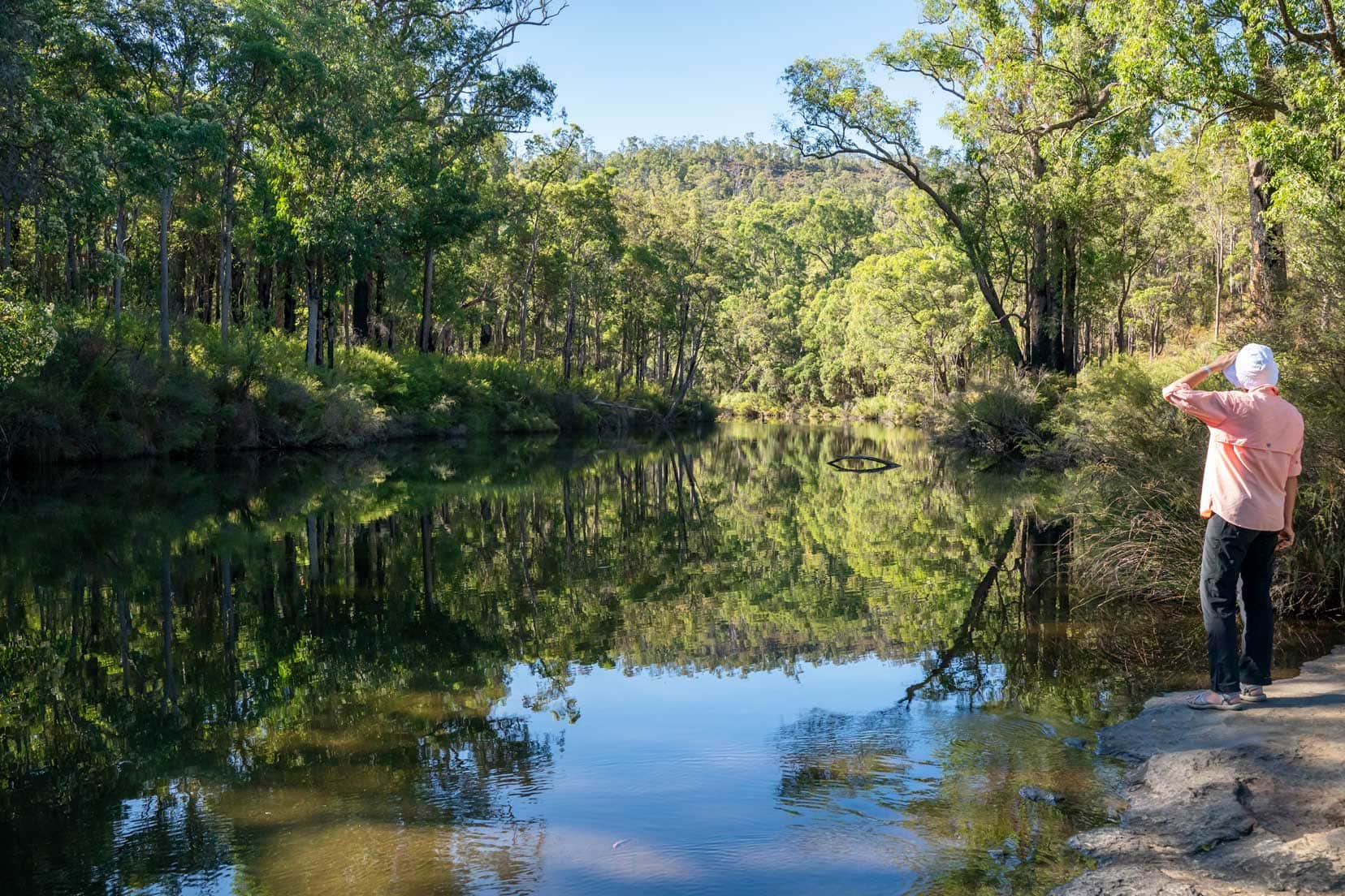 Little Rock Pool Reflections