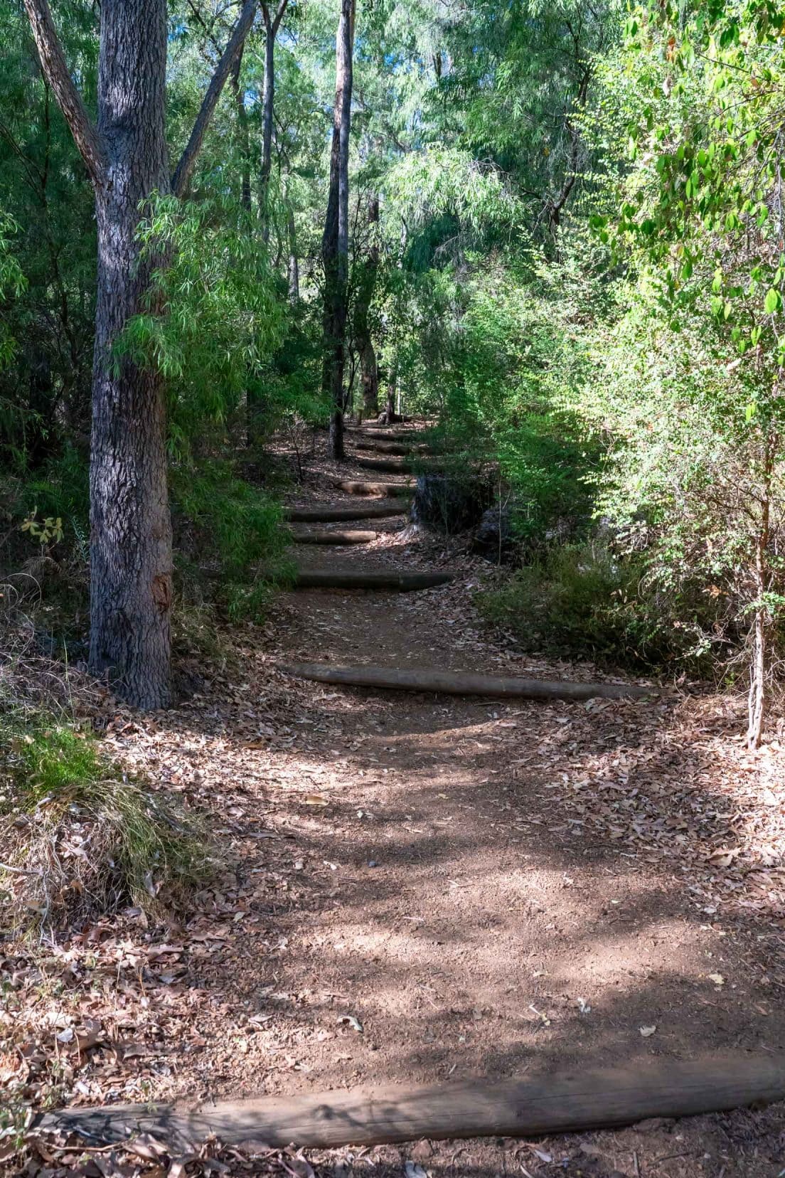 Pathway to Long Pool