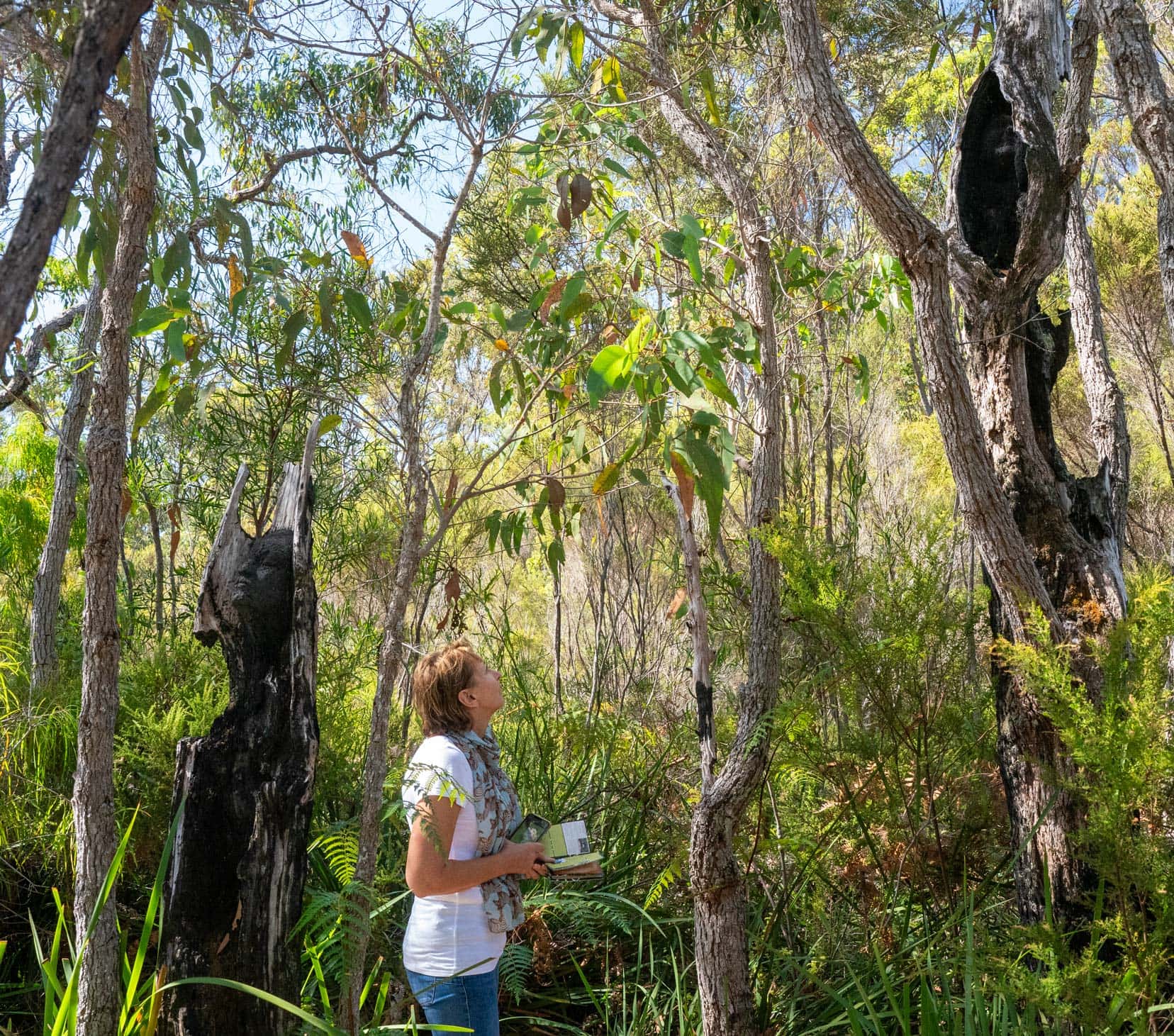 _Perth-to-Esperance-Road-Trip-Northcliff-Understory-art-Trail - Shelley looking for faces in the trees, with one moulded  into a tree behind her 