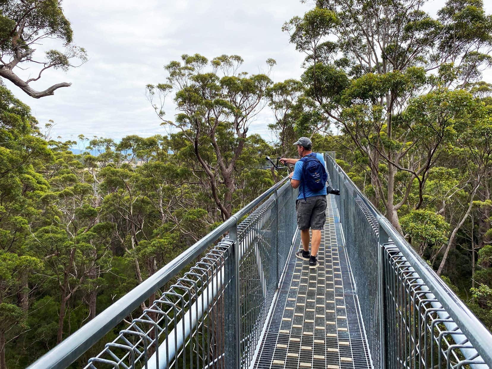 Perth-to-Esperance-Road-Valley-of-the-Giants-Tree-Top-Walk Lars walking across the metal frame tree top walk with the tree tops around him