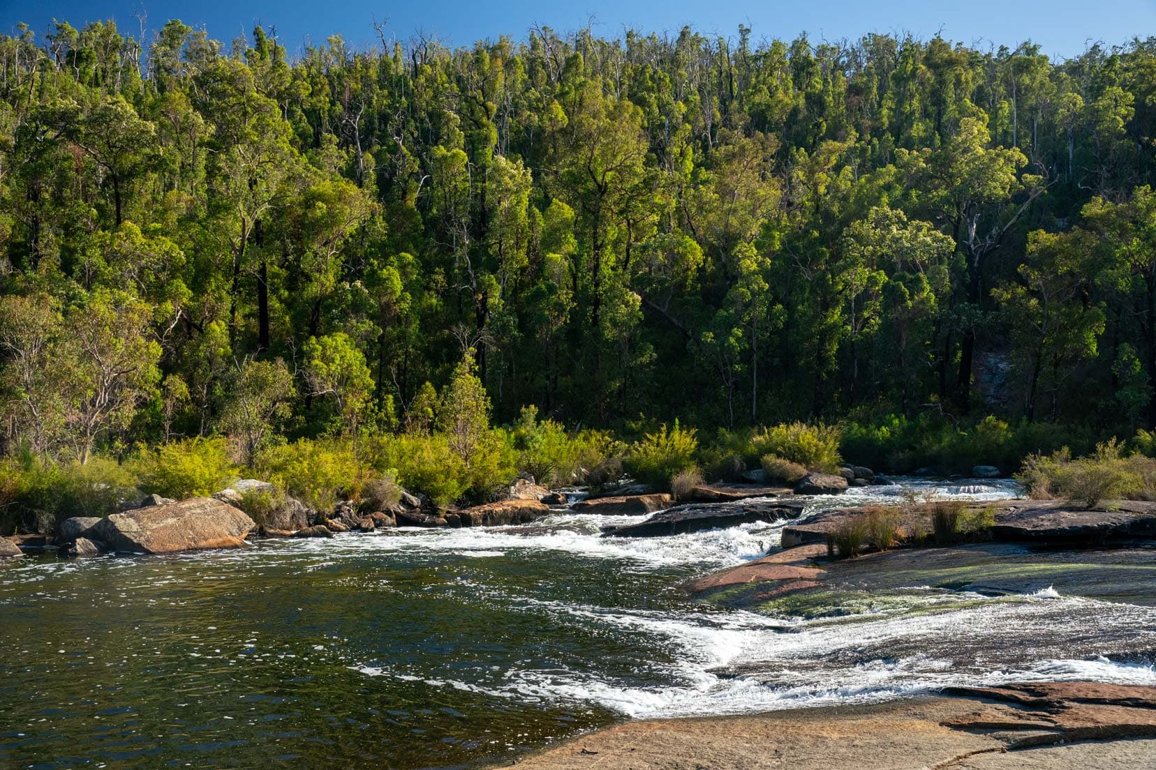 Perth-to-Esperance-Road-trip-Big-Rock - swirling river surrounded by tall trees