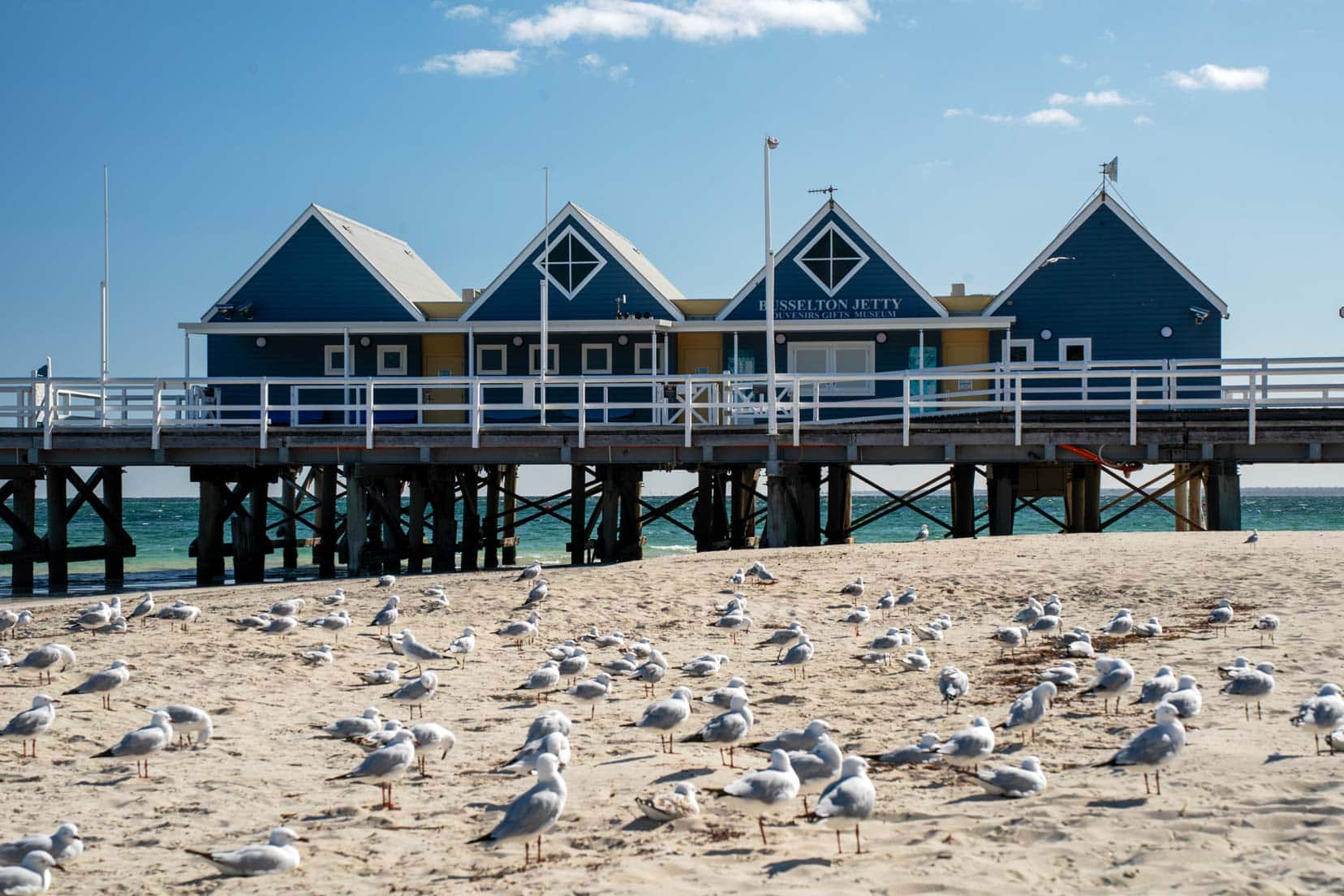 Busselton Jetty in the background with three triangular roofs of the visitor centre painted blue and lots of seagulls on the beach in the forground