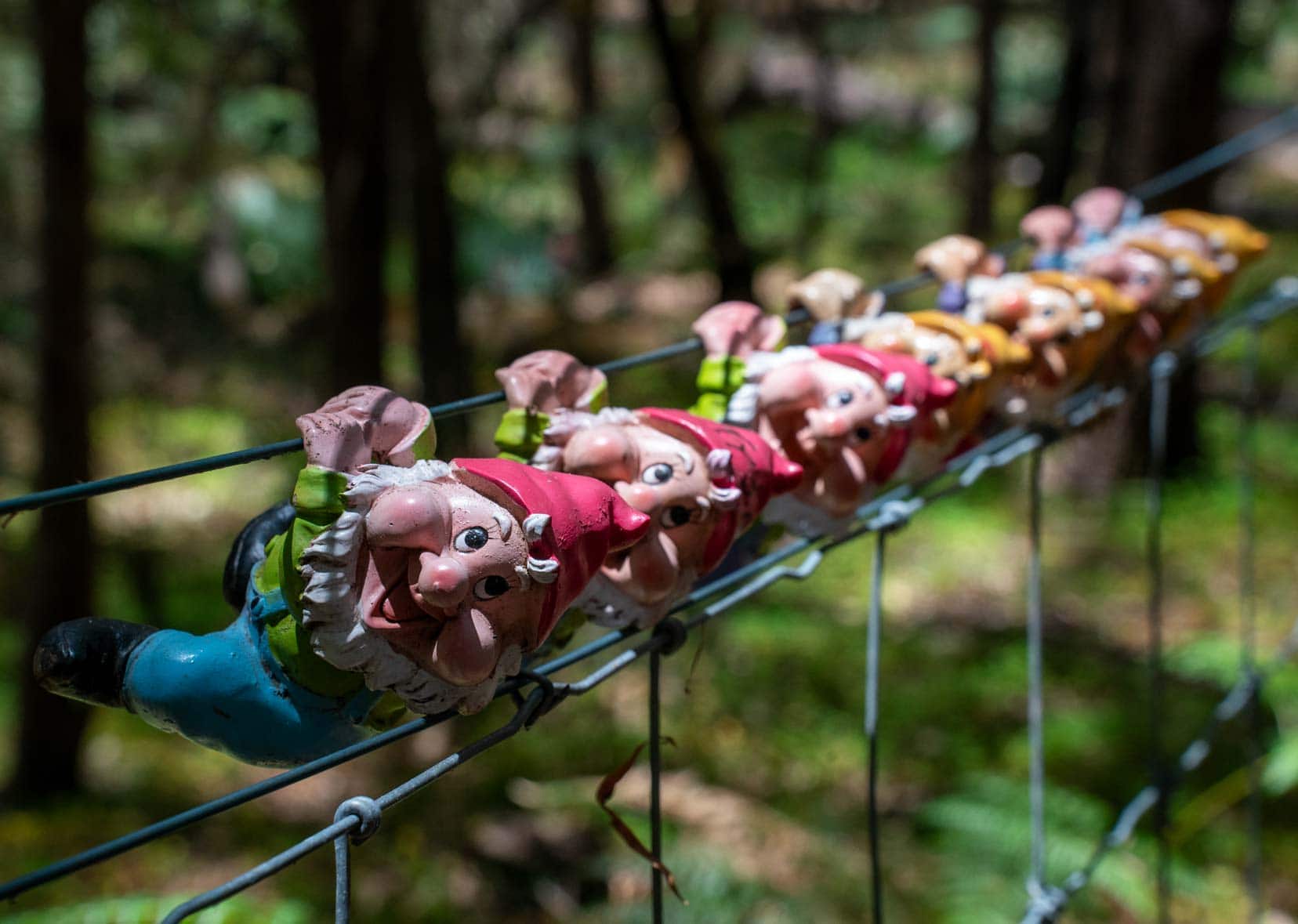 Perth-to-Esperance-Road-trip-Gnomesville - a row of gnomes hanging off the top of a fence