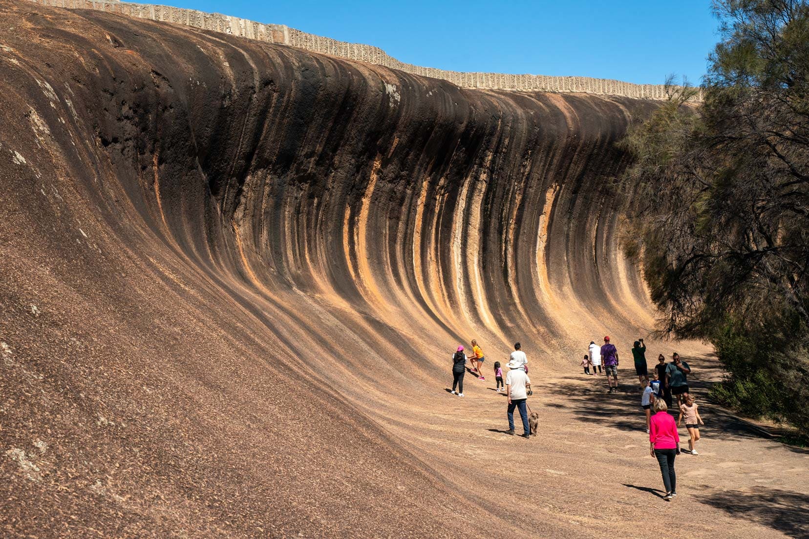 Wave Rock - a huge wave shaped rock with people milling around at the base