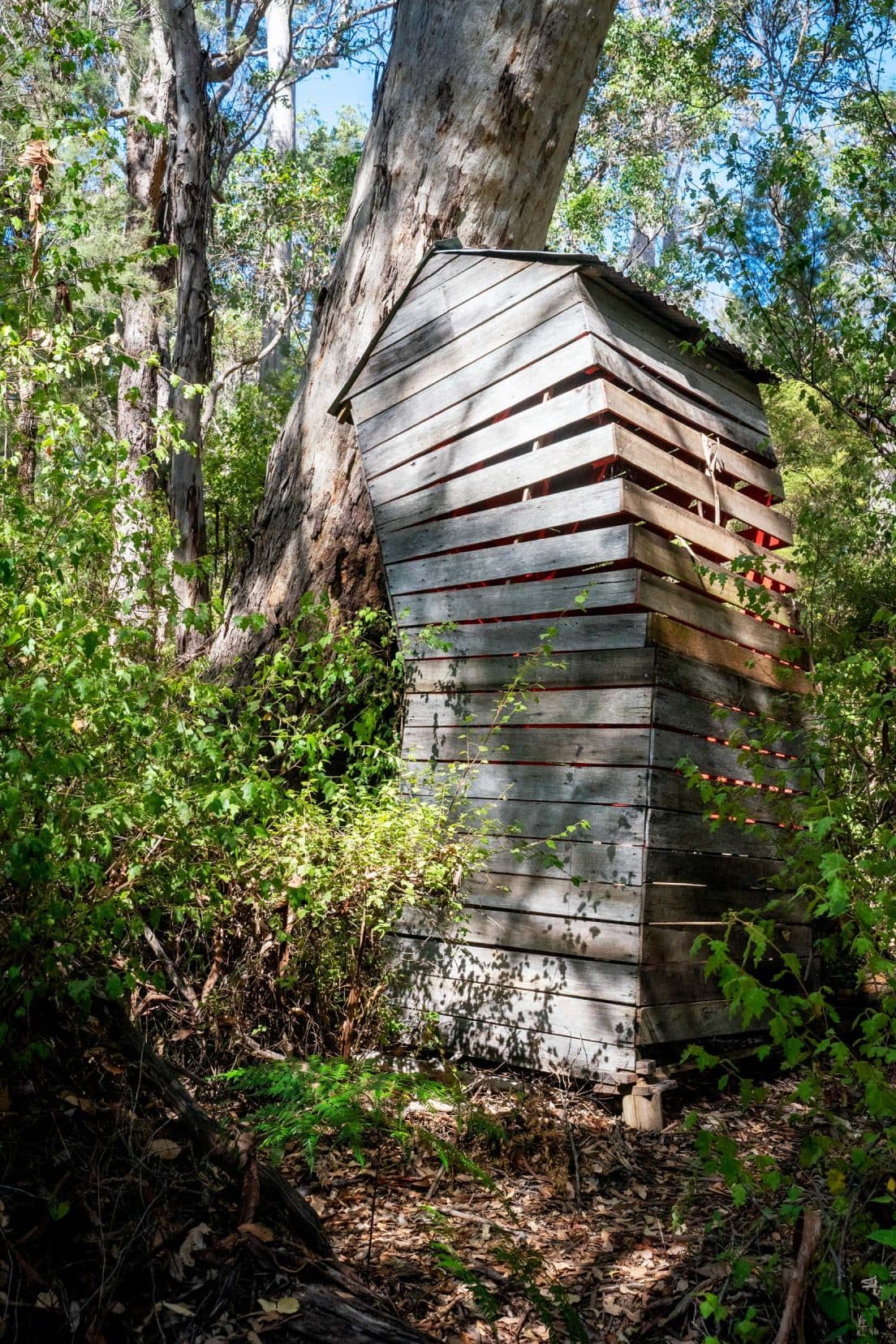 wooden house tilting towards a tree 