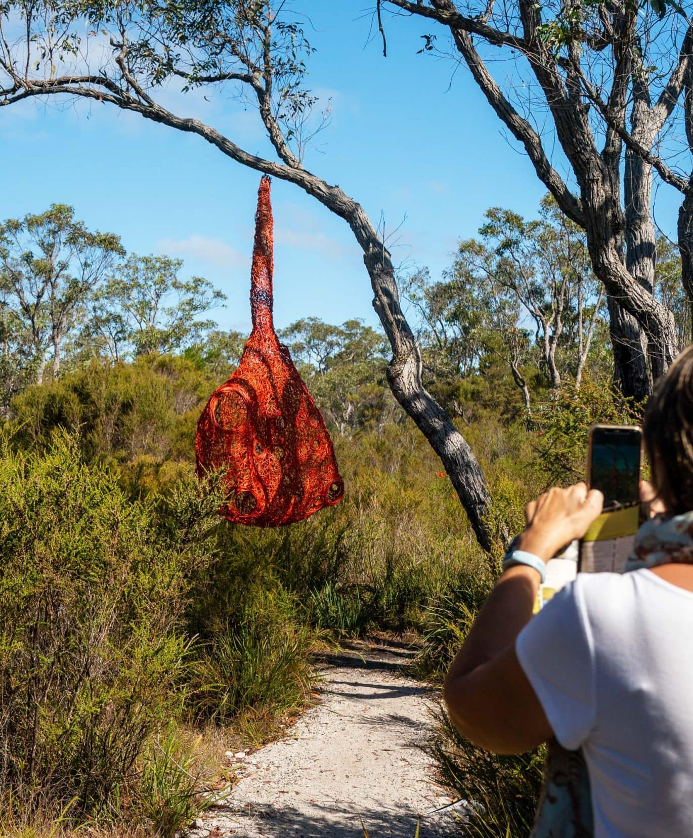 Northcliff-Understory-art-Trail-large red-hanging-net-like shape 