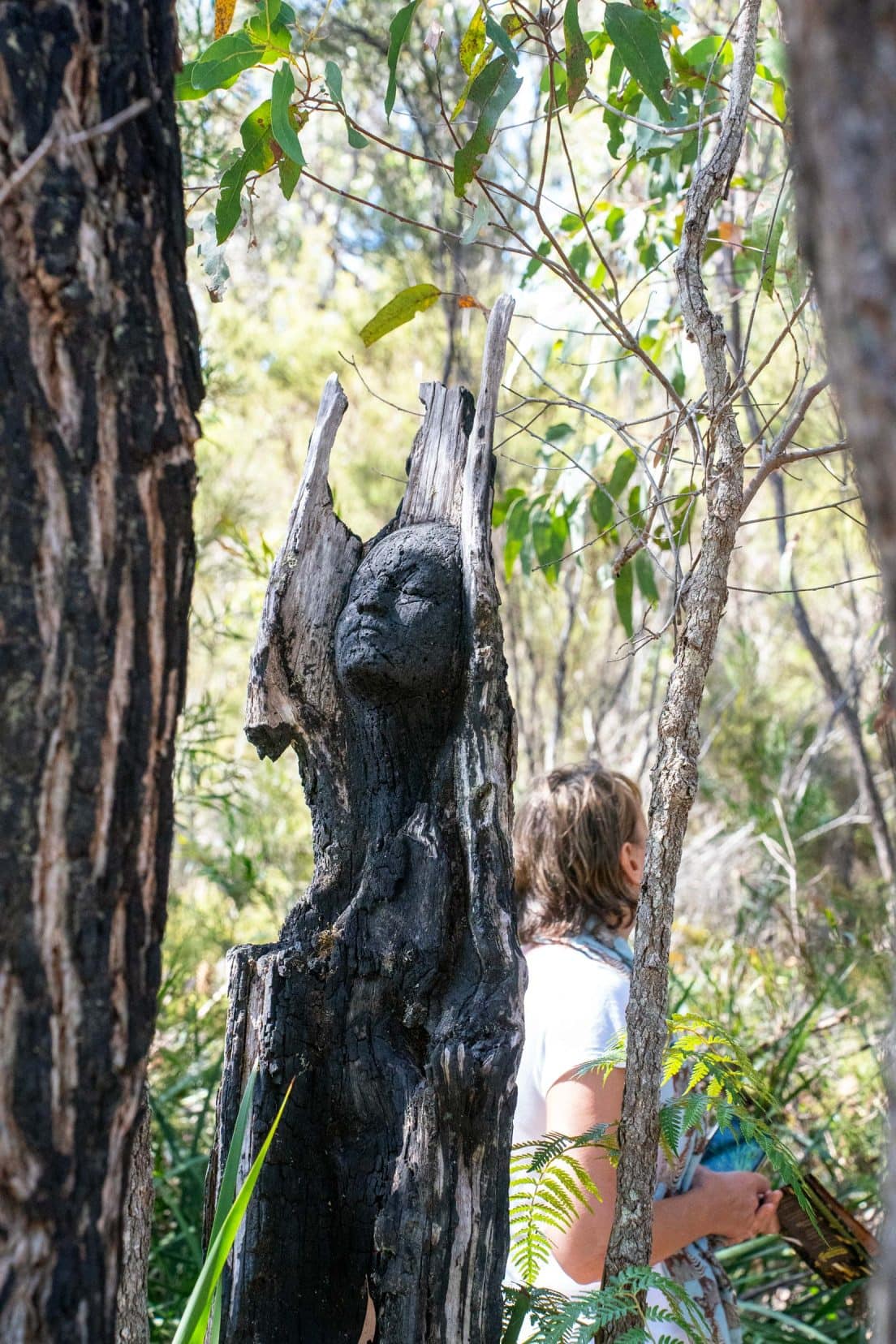 One of the charcoal faces ina burnt out hollow of a tree