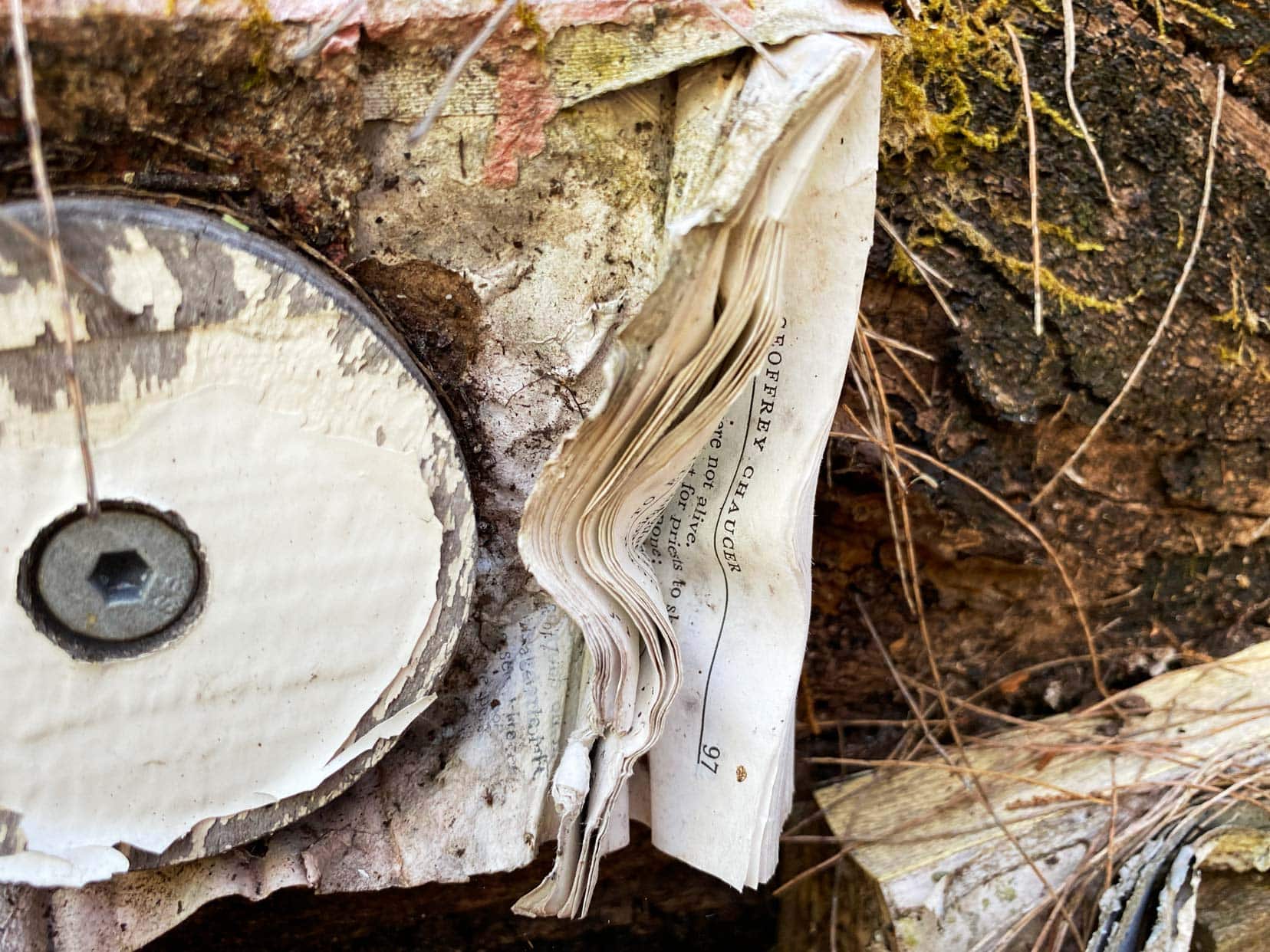 Northcliffe-Understory-Art-Trail-close-up of book nailed to the old log shown as wrinkled and starting to decompose.