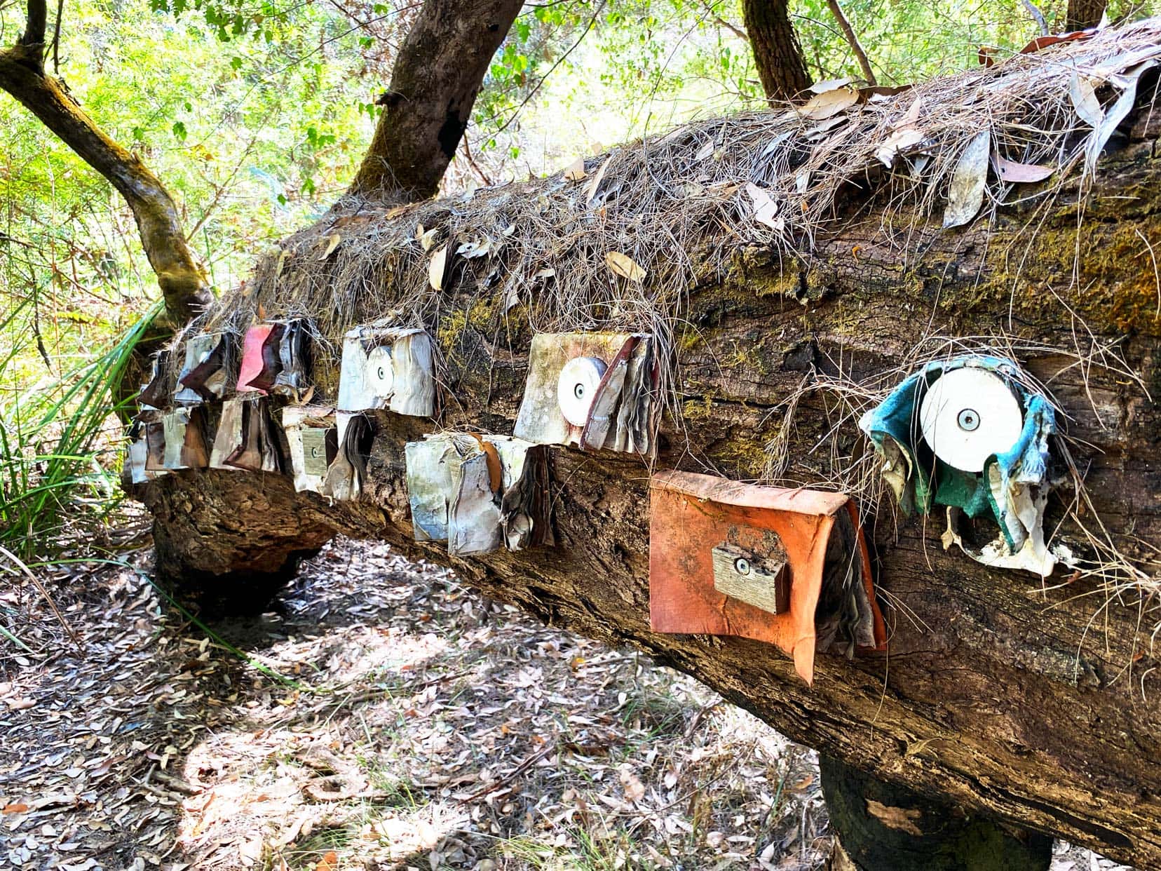 Northcliffe-Understory-Art-Trail-old-books nailed into an old log