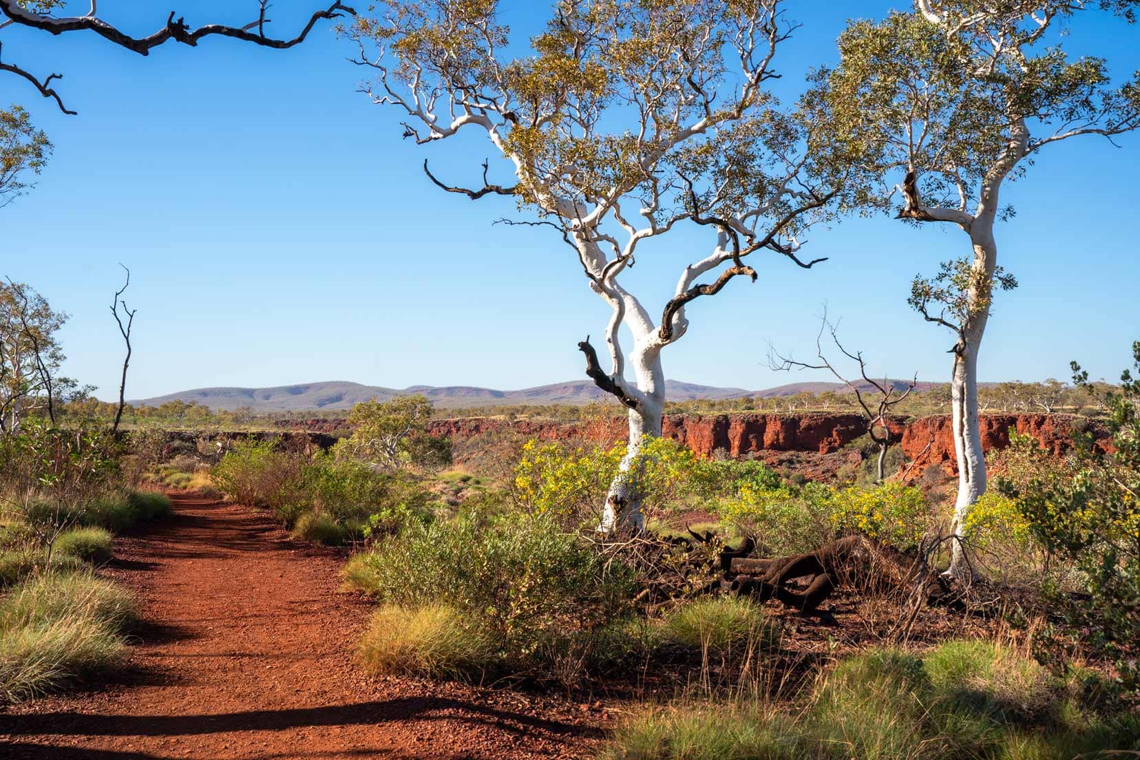 Dales Gorge Rim Walk 