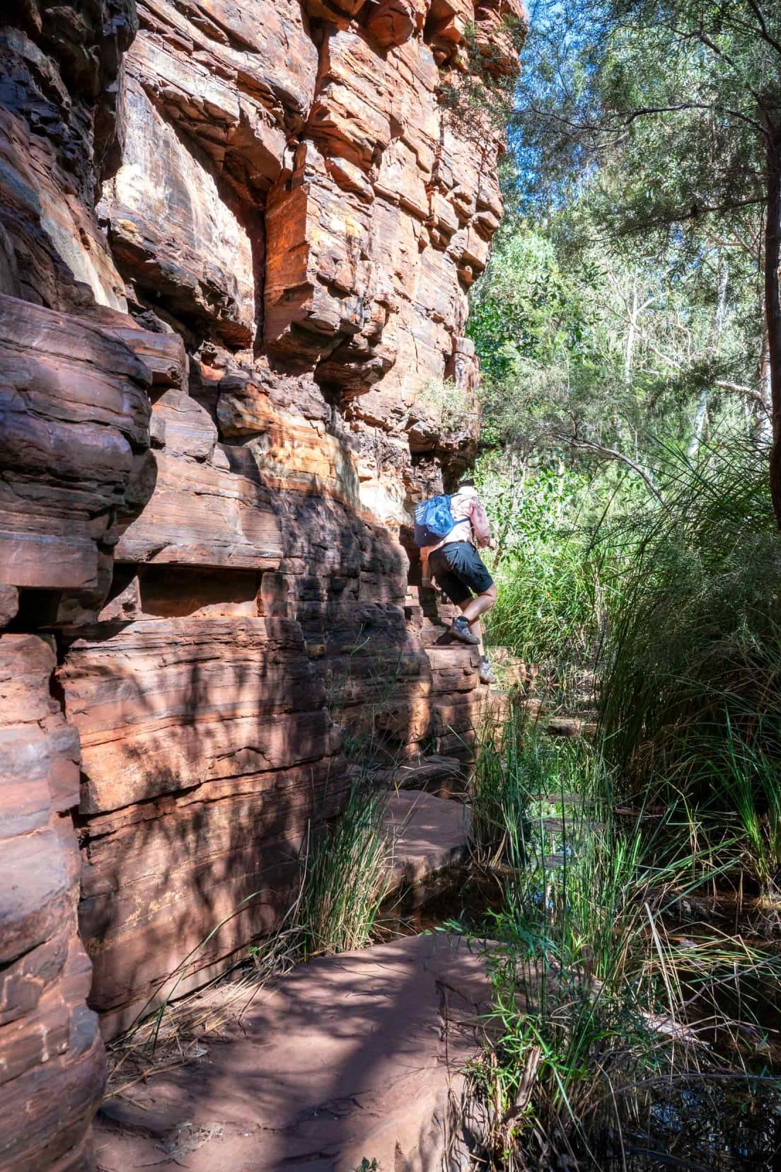 Shelley Walking along the edge at Dales Gorge