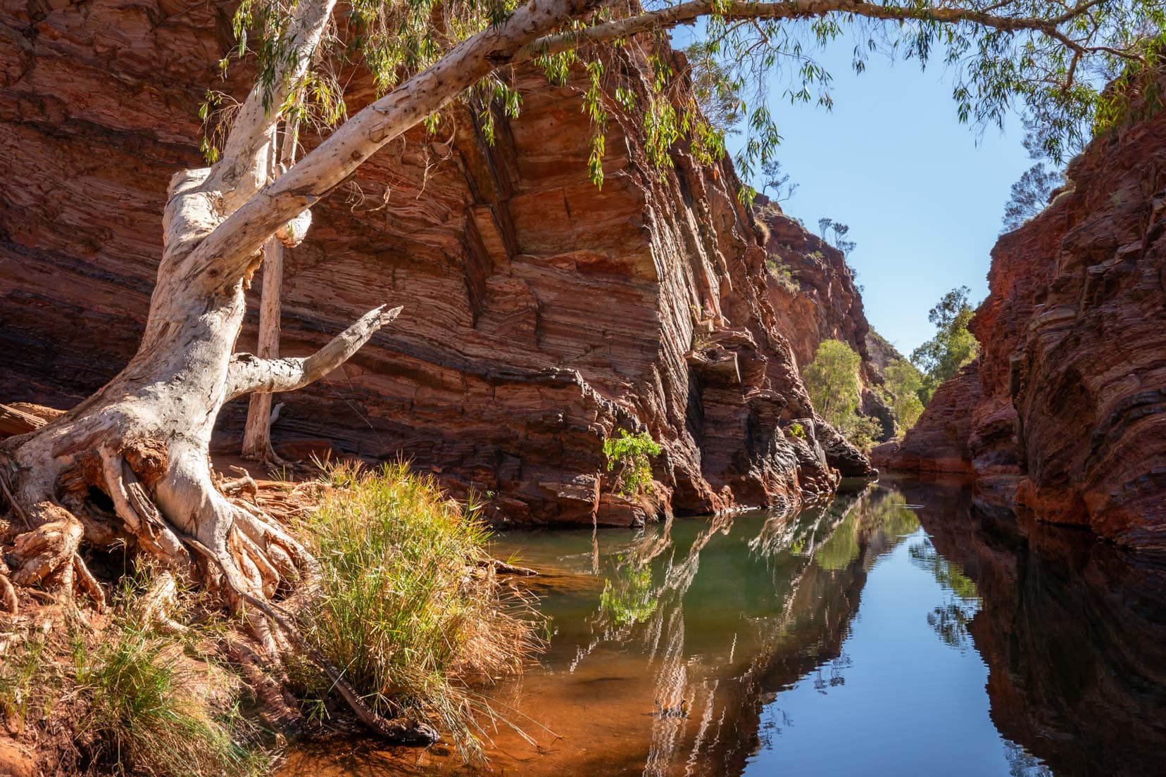 Hammersley Gorge 