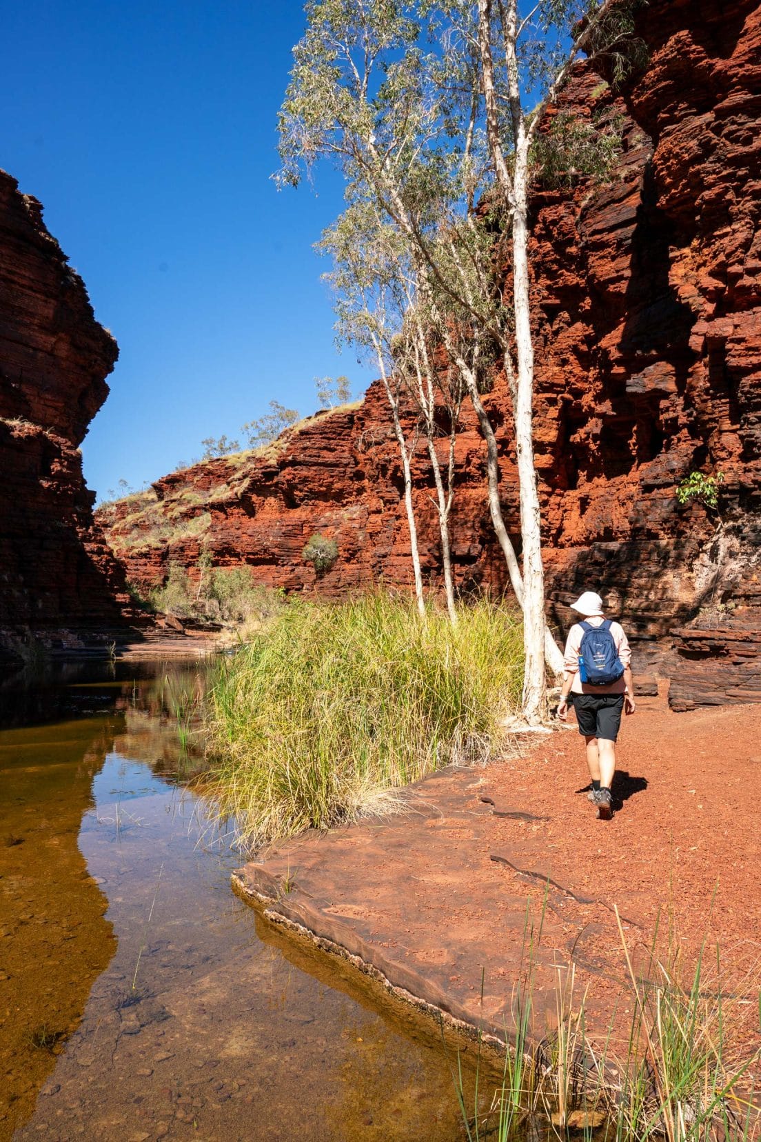 Kalamina-Gorge-Shelley-walking-in-gorge