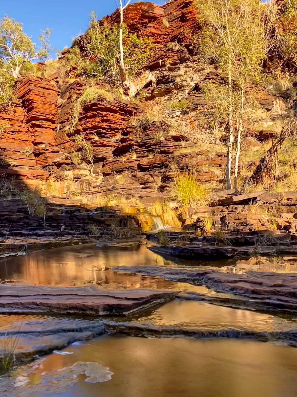 Kalamina Gorge View