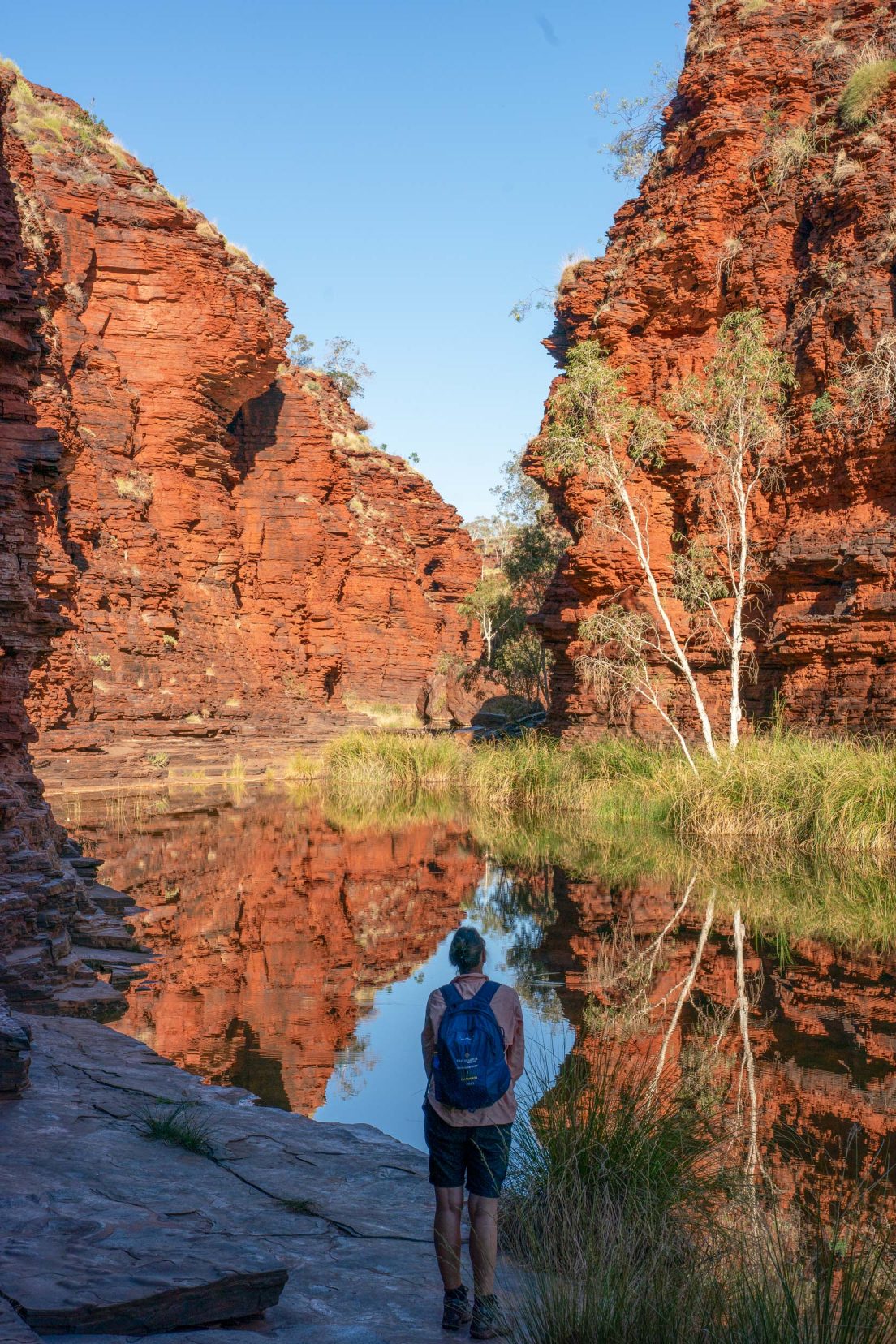 Kalamina-Gorge-shelley-stood-by-pool with reflections of the orange coloured rocks and green grass around the edges of the pool