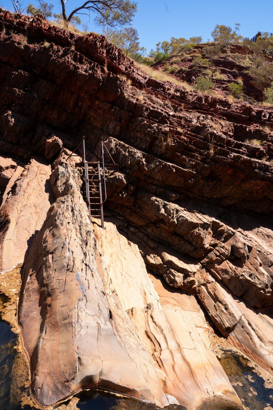 Ladder-at-Hammersley Gorge