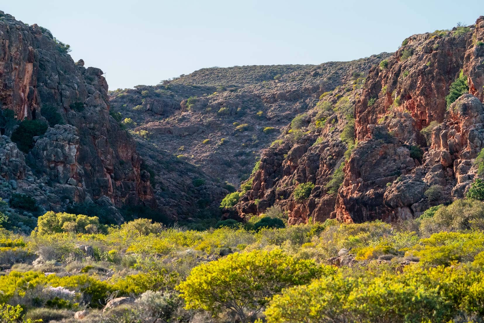 Pilgonoman-Gorge_from-a-distance