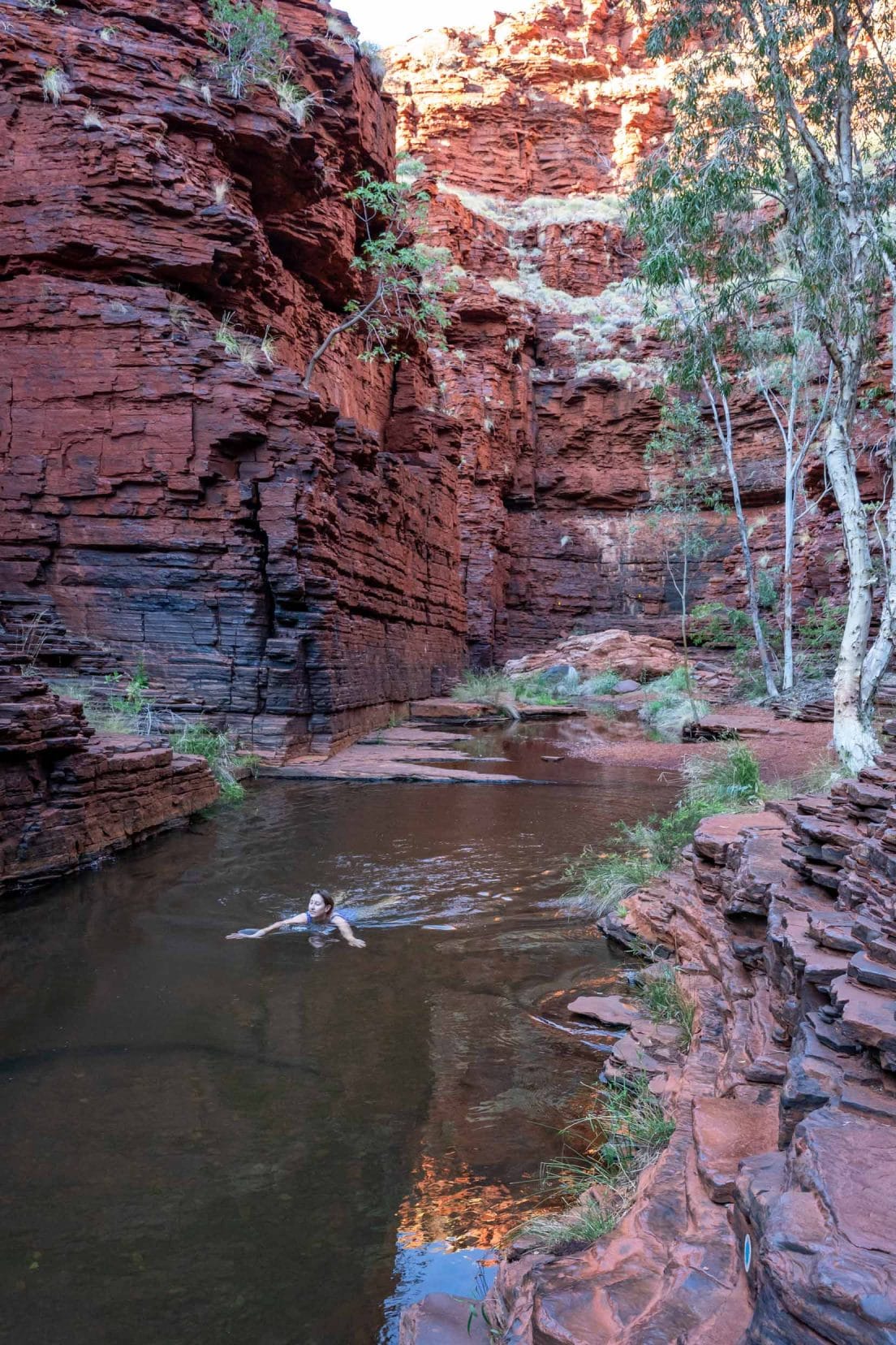 Shelley Swimming in Hancocks's Gorge 