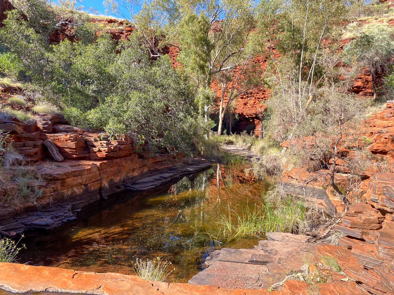 Weano Gorge pool - a small pool surrounded by trees and gorge rock walls