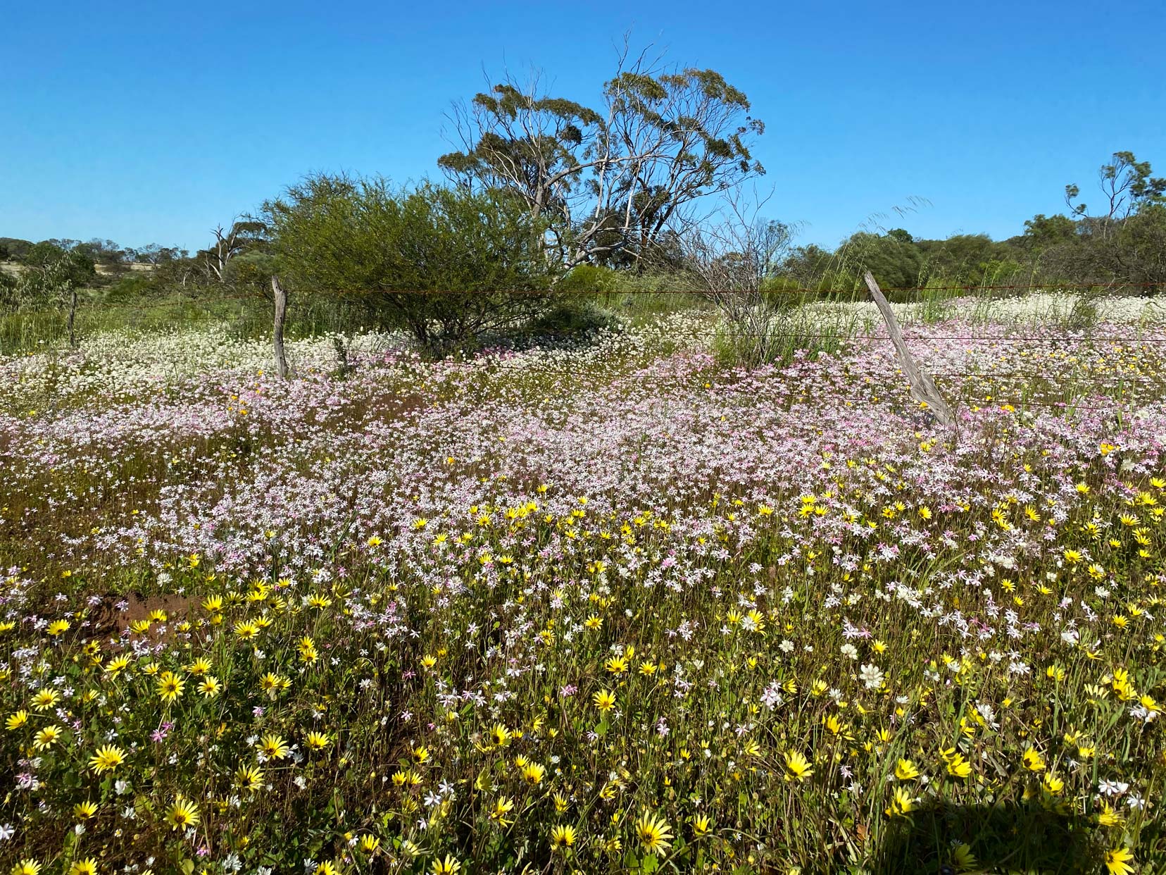 Bindoon-Reserve-Mullewa