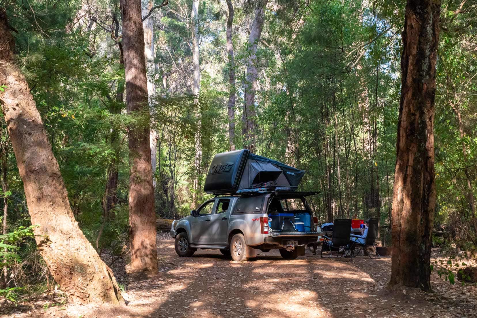 camping at Drafty's camp in WA car parked in the forest under trees 