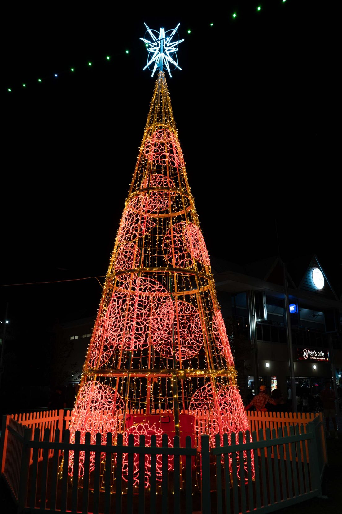 Christmas tree lights 