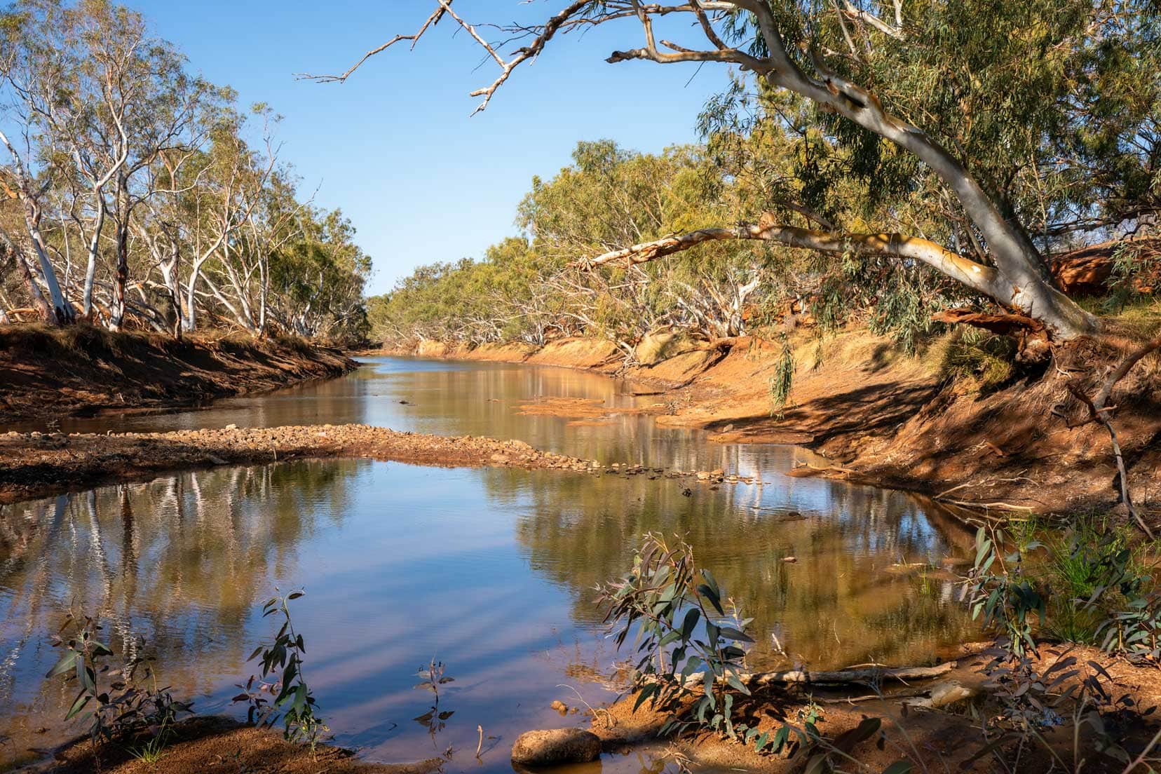 Mount Augustus Cattle pool