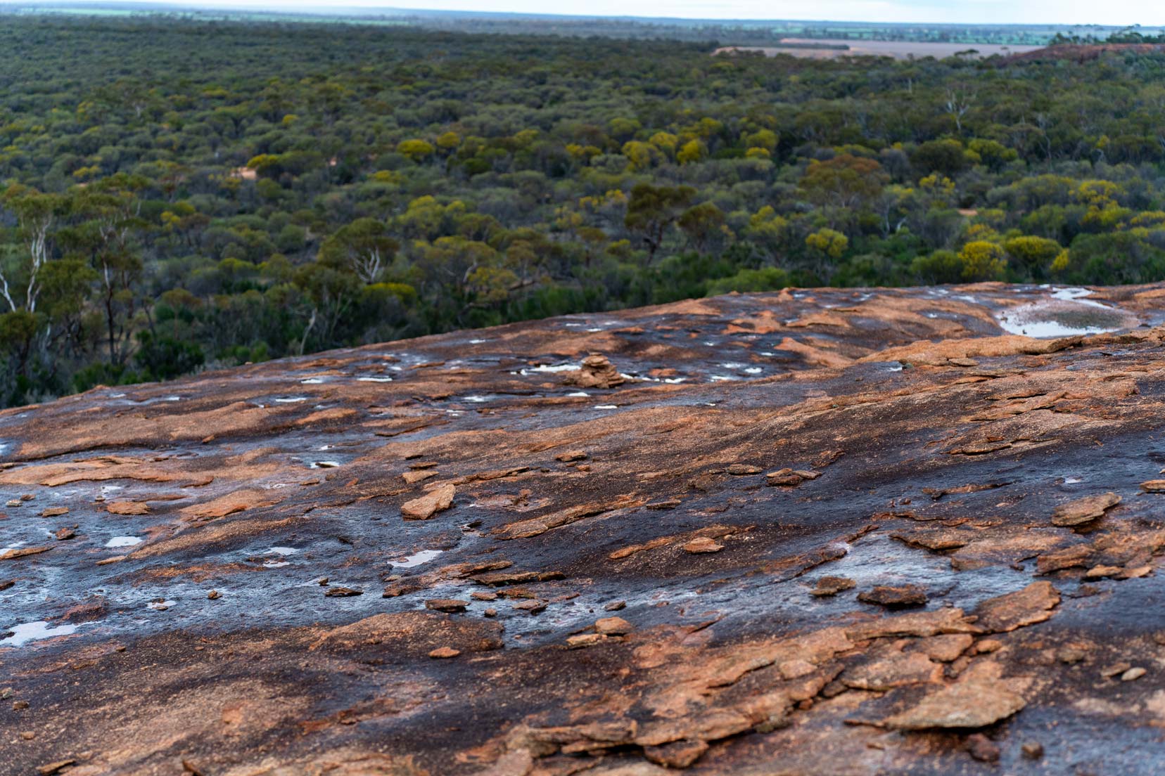 Elachbutting-Rock-View