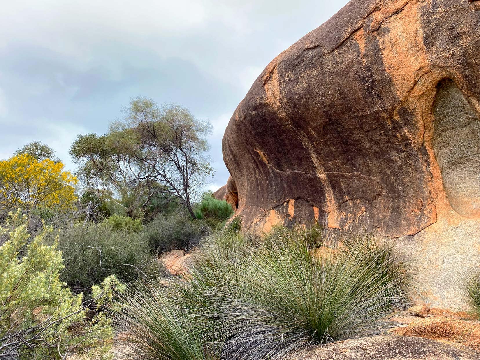 Elachbutting-Rock-and-bush-