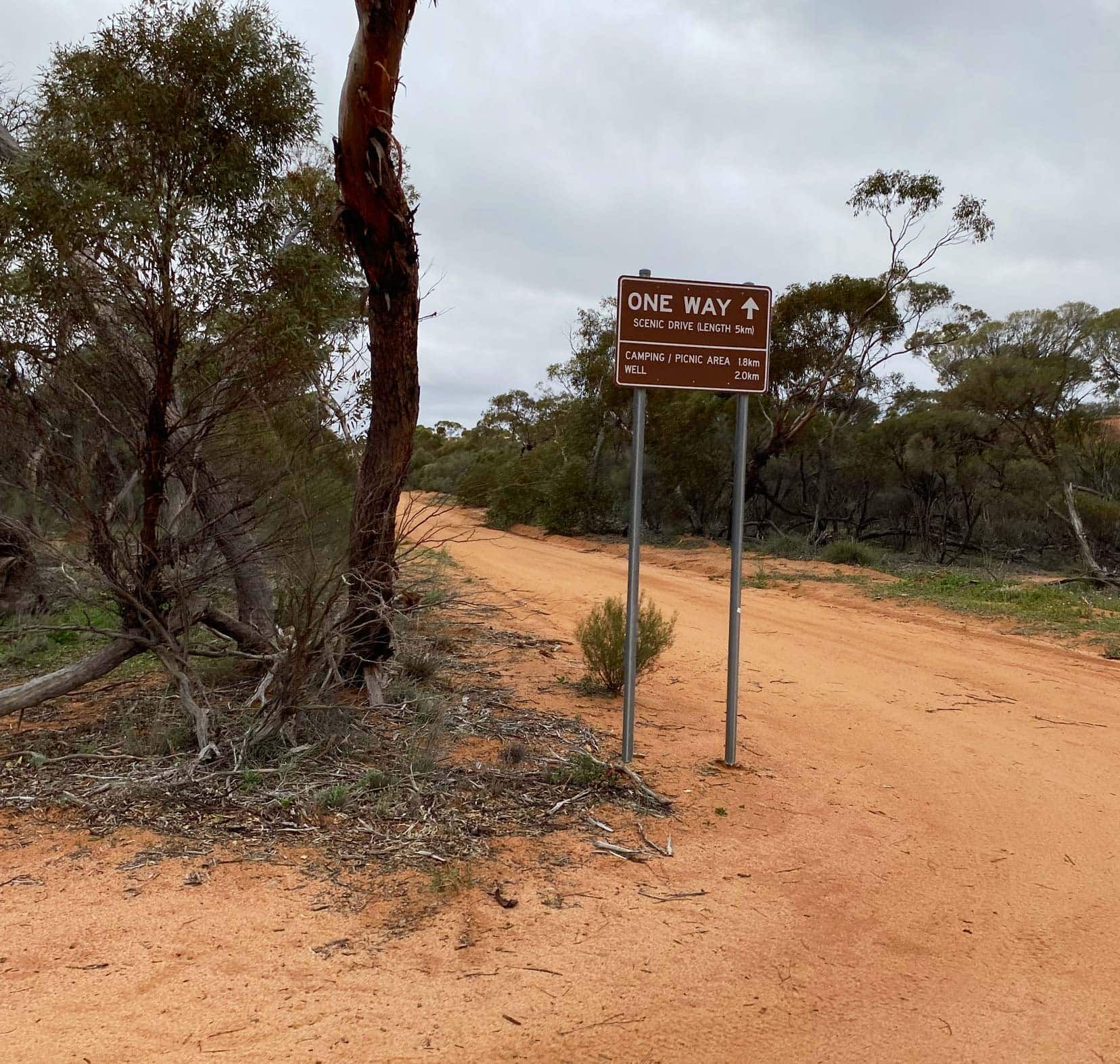 Elachbutting-Rock-sign-one-way-