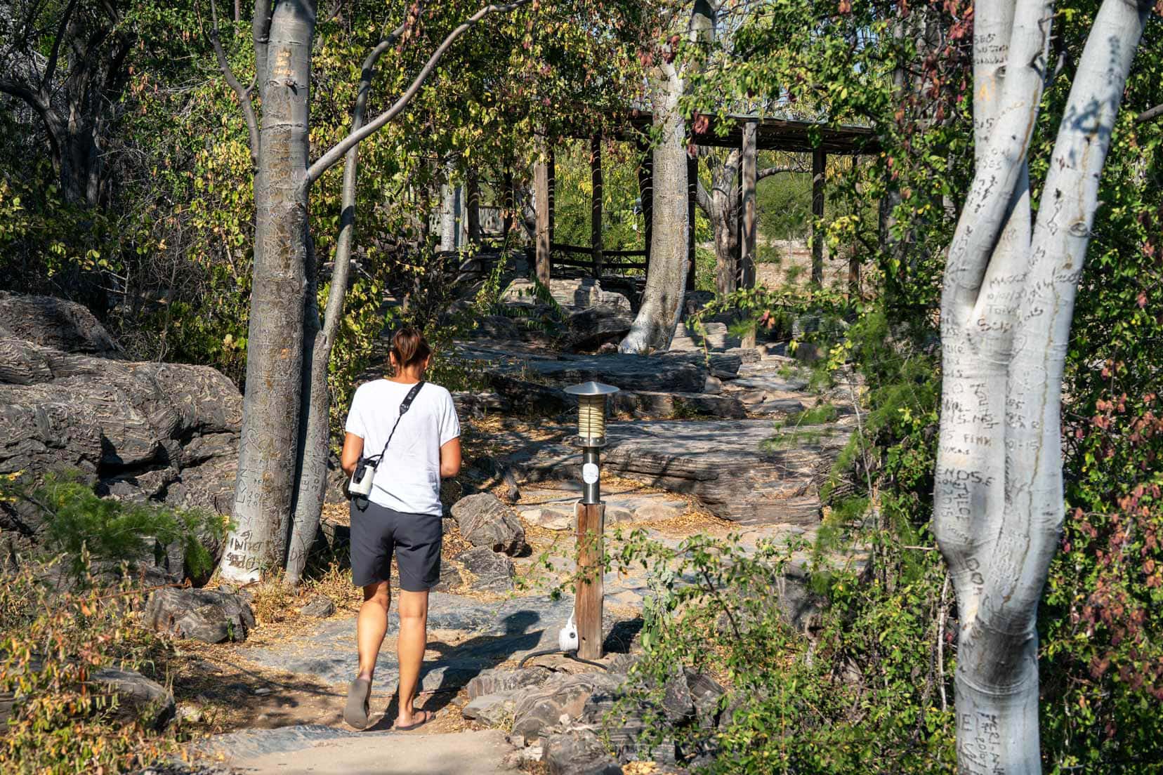 Shelley walking towards the Moringa Waterhole at Halali Camp 